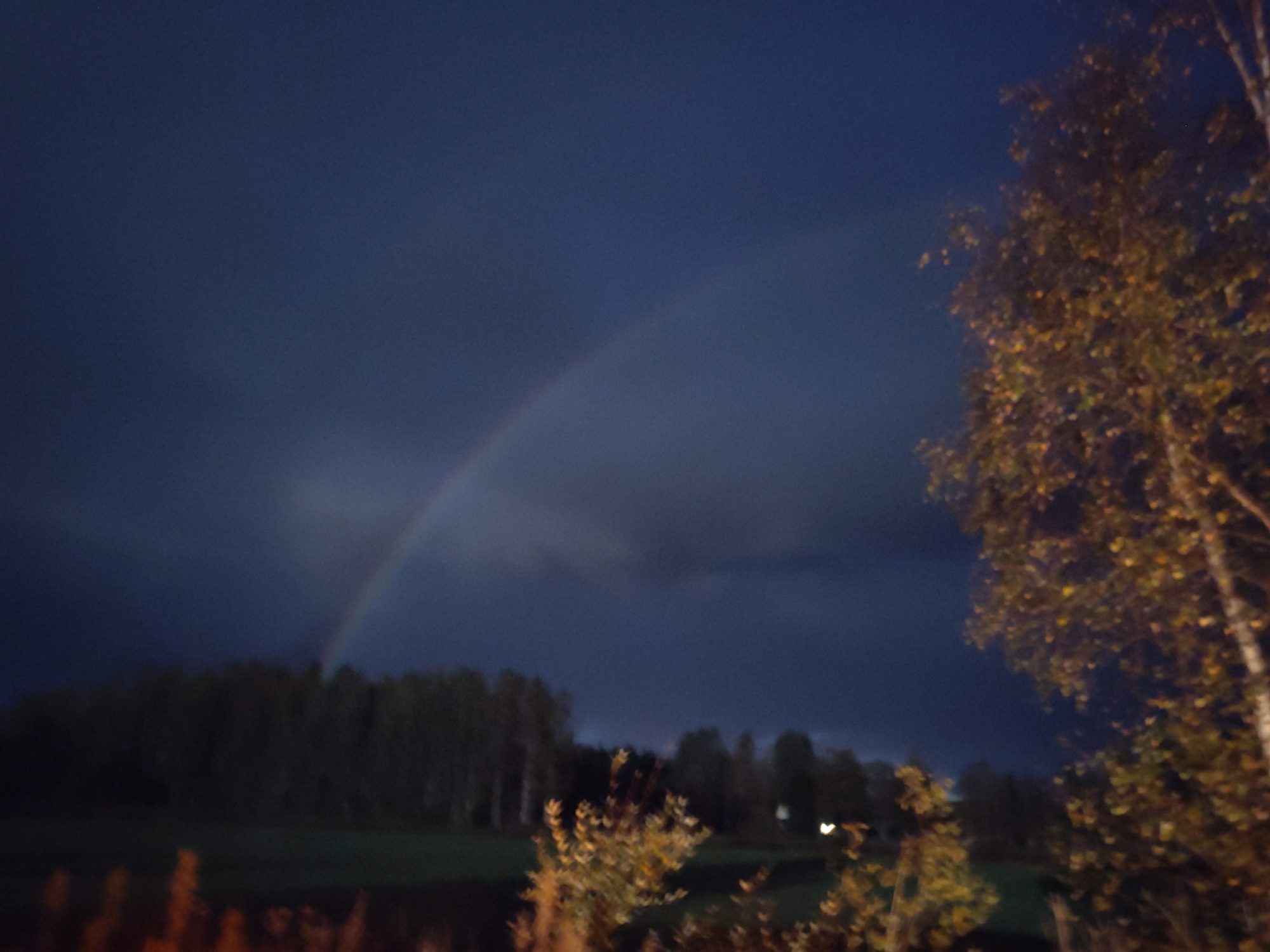 Valokuvaaja: Antti Toivanen