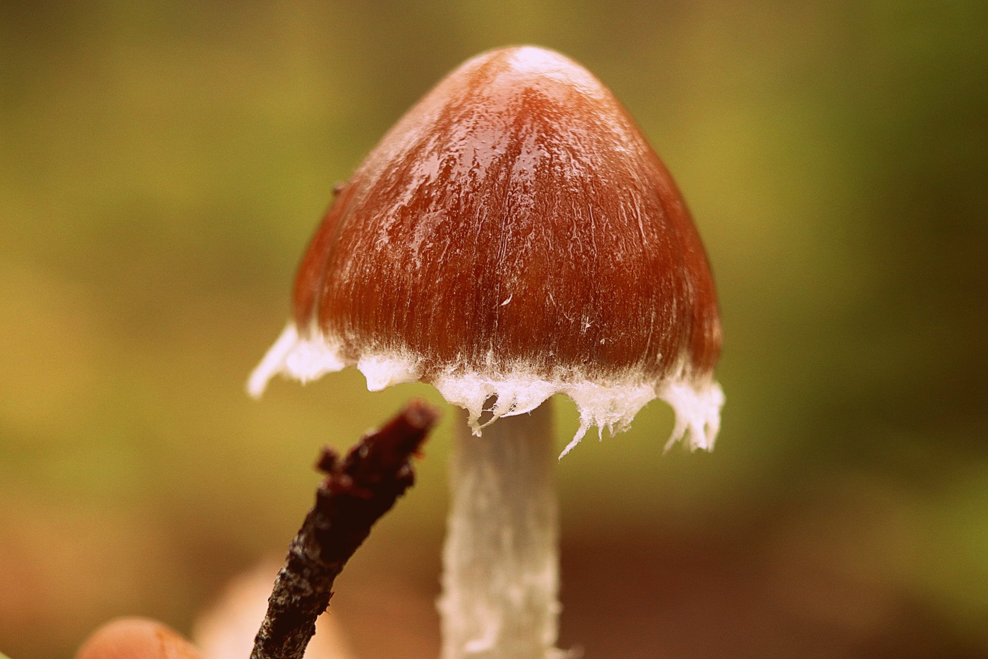 Valokuvaaja: Irja Lehtinen Valokuvaaja: Irja Lehtinen