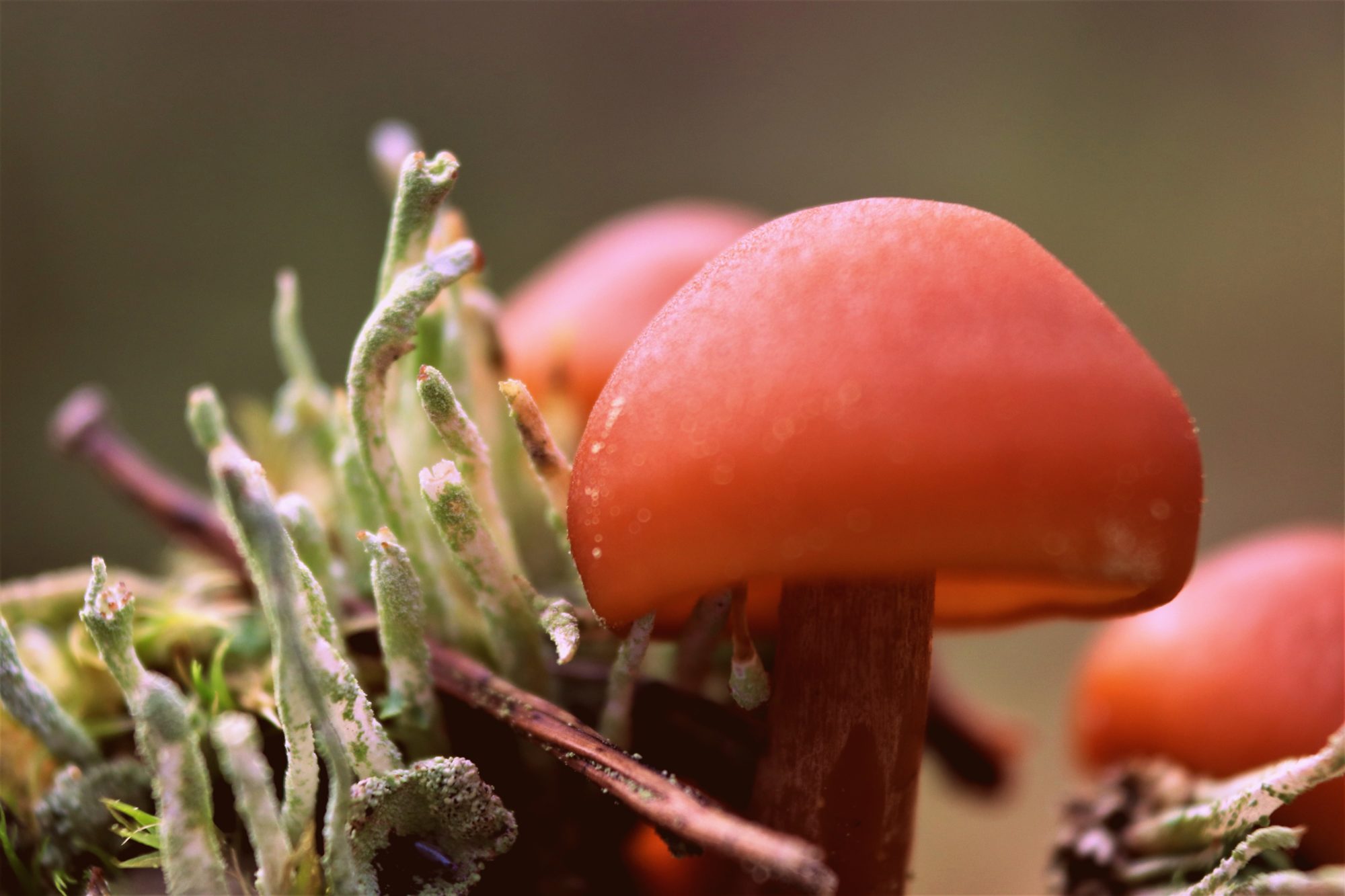 Valokuvaaja: Irja Lehtinen