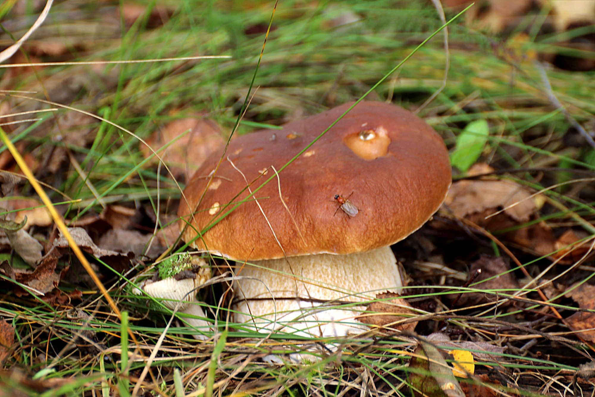 Valokuvaaja: Irja Lehtinen Valokuvaaja: Irja Lehtinen