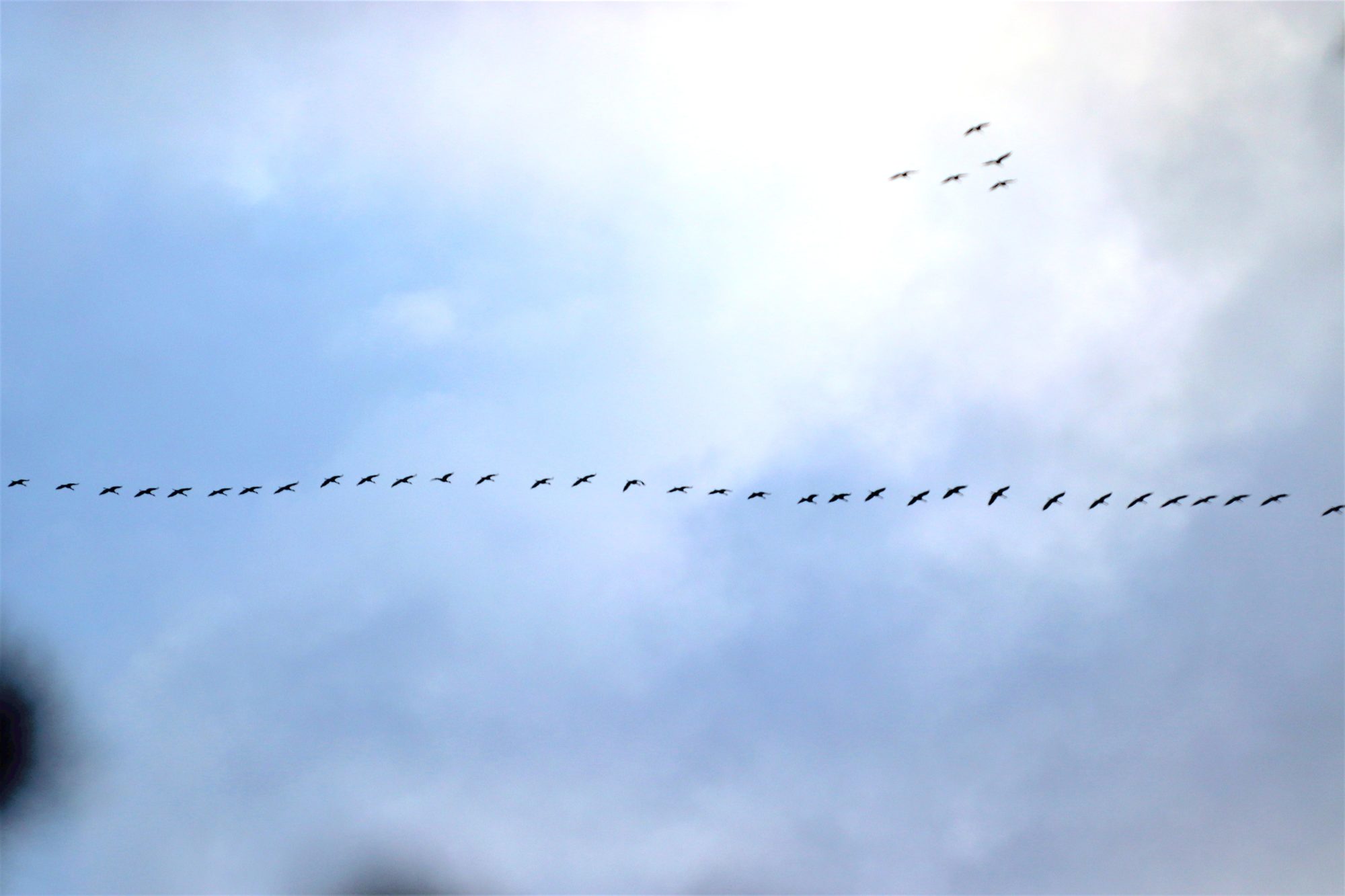 Valokuvaaja: Irja Lehtinen