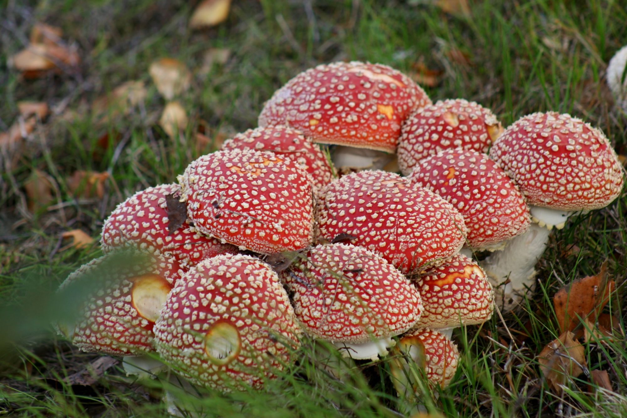 Valokuvaaja: Pirkko Siukonen