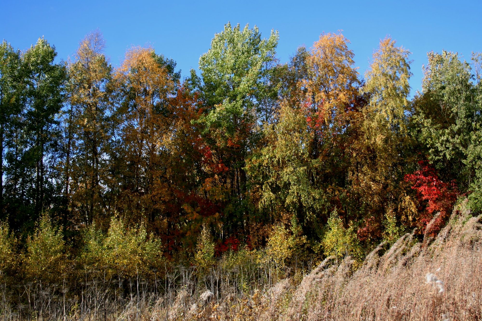 Valokuvaaja: Pirkko Siukonen