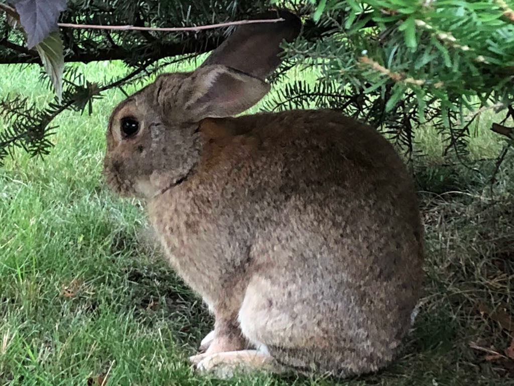 Valokuvaaja: Ossi Ritakorpi