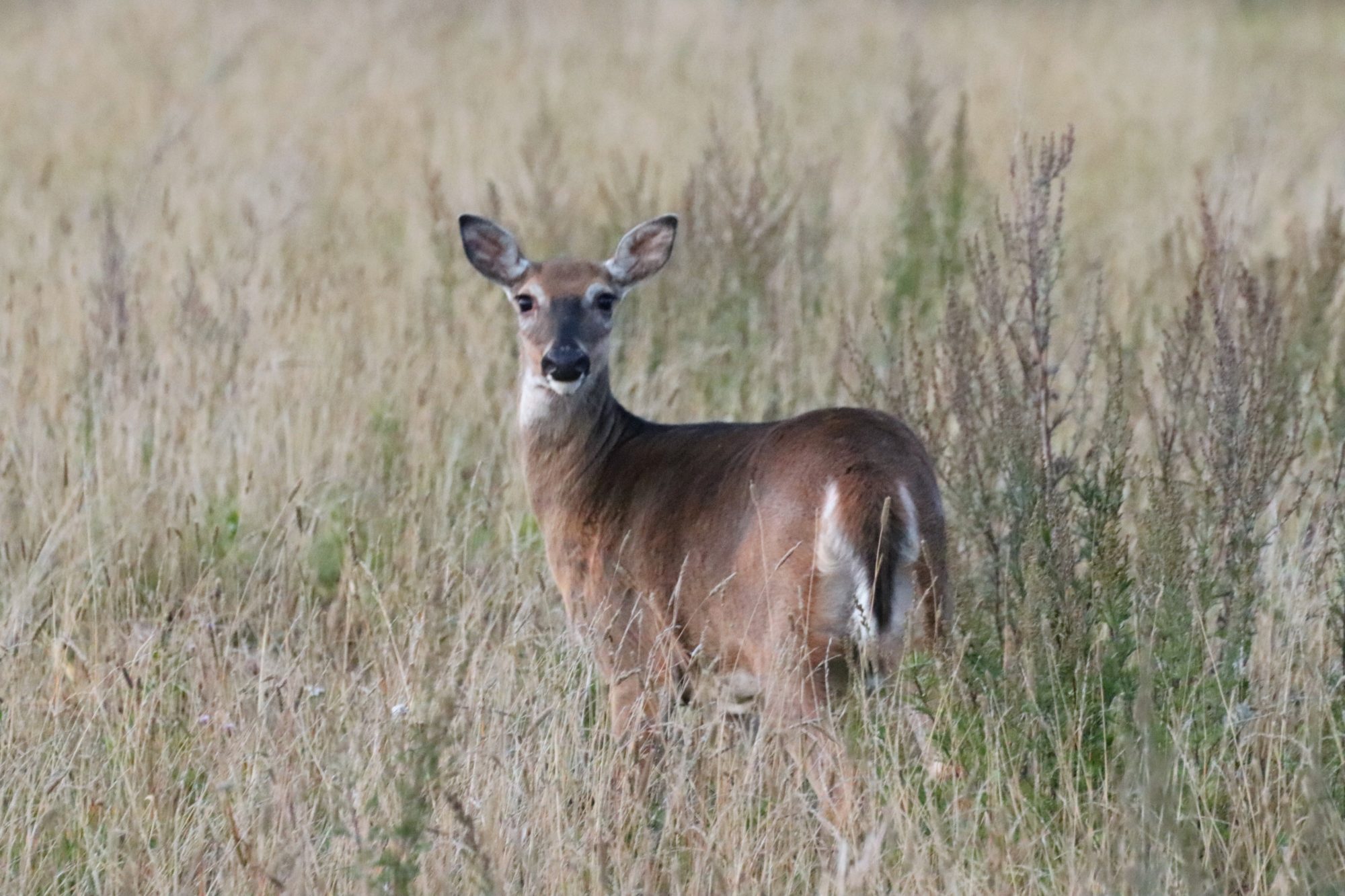 Valokuvaaja: Irja Lehtinen