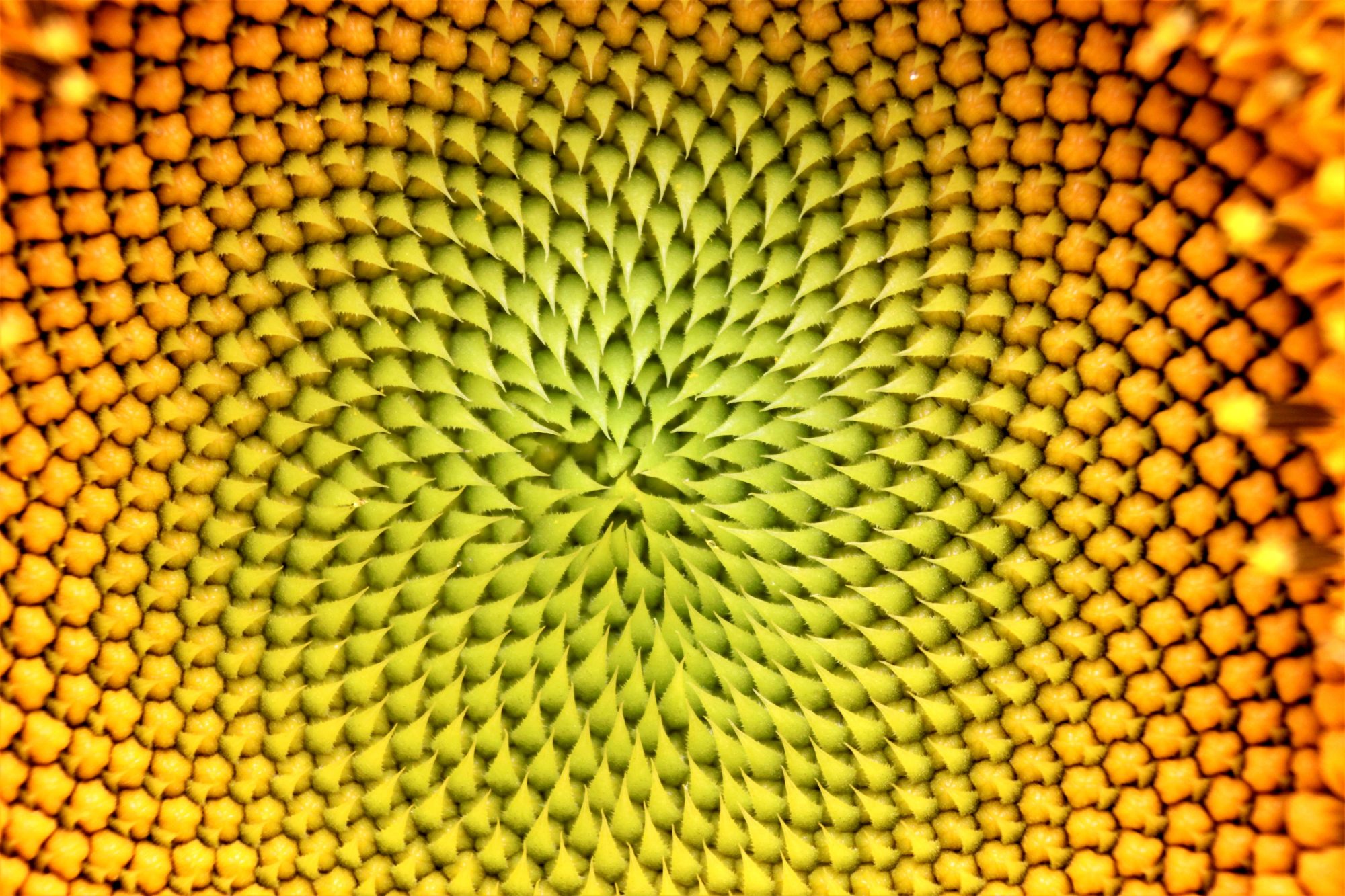 Valokuvaaja: Irja Lehtinen