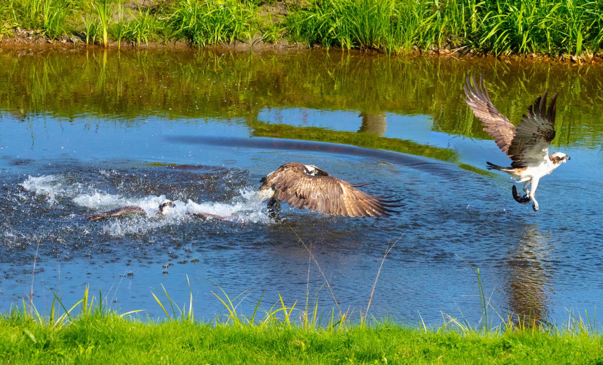 Valokuvaaja: Jarmo Sillanpää