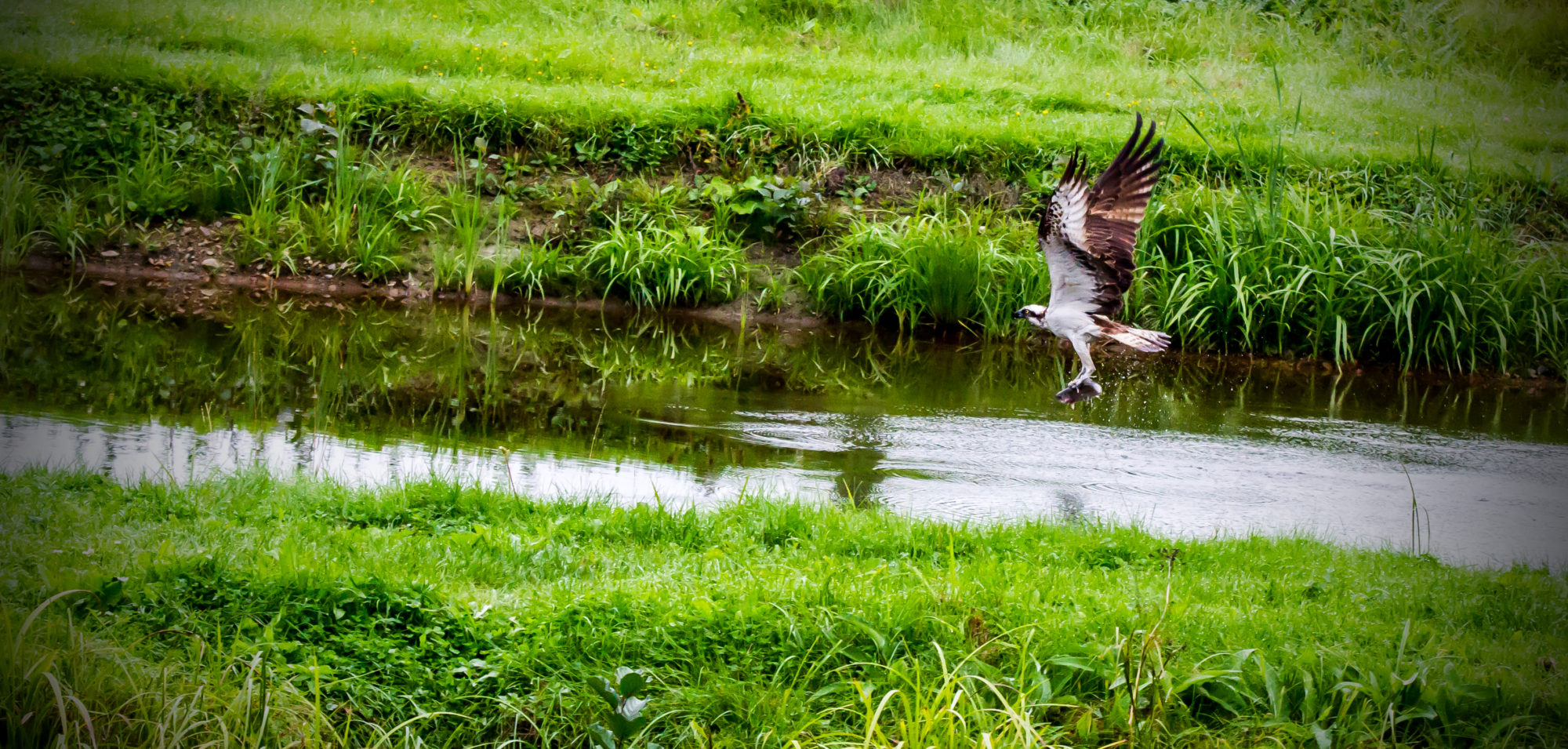 Valokuvaaja: Heikki Heinonen