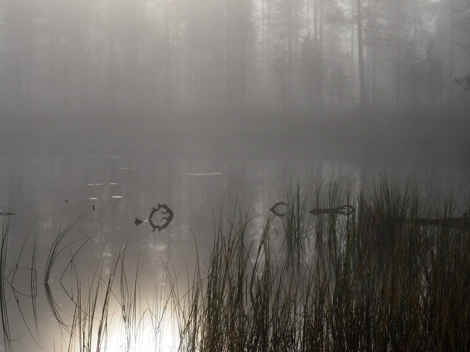 Valokuvaaja: Marianne Kirjonen