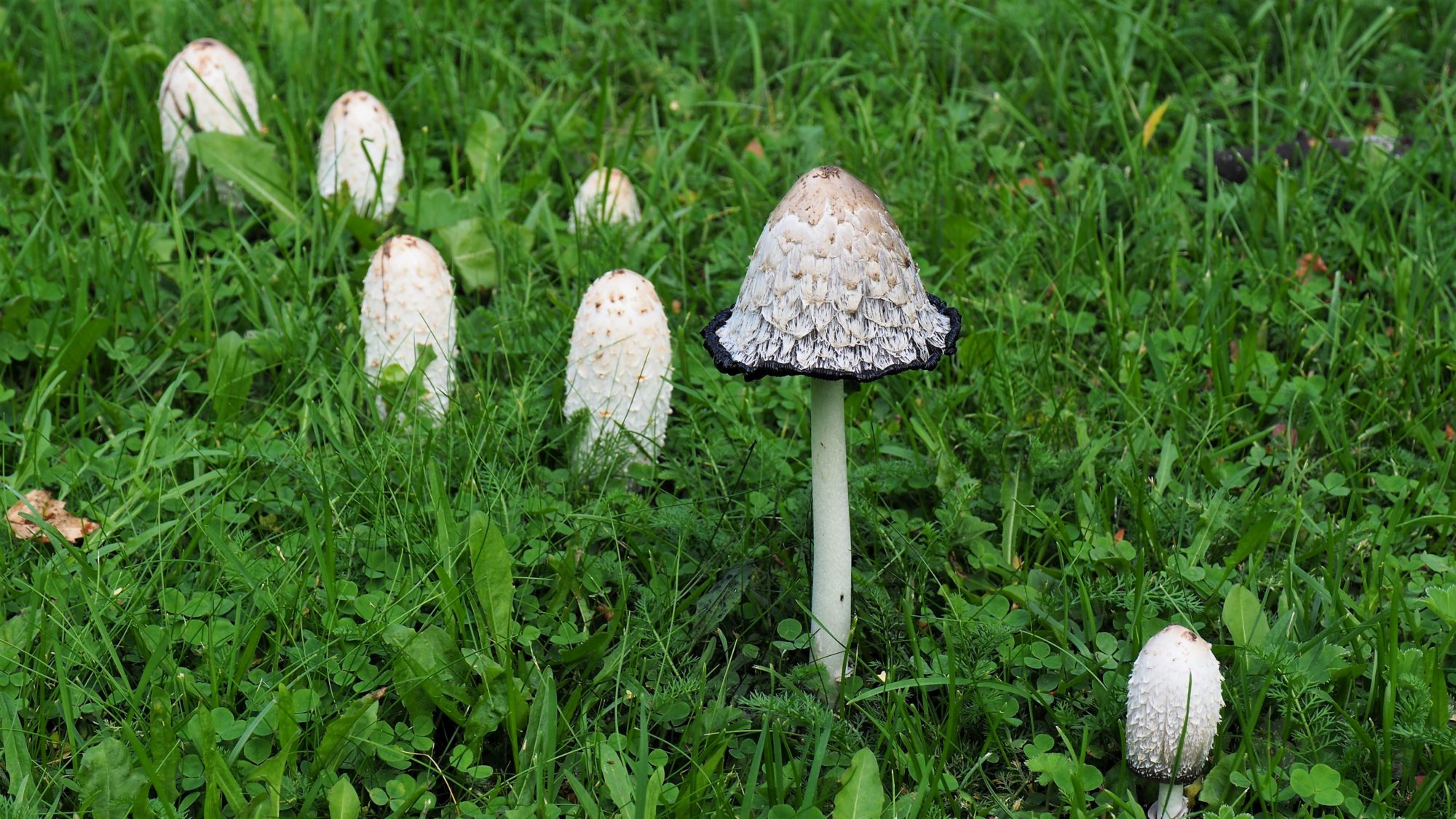 Valokuvaaja: Arja Valtonen Valokuvaaja: Arja Valtonen