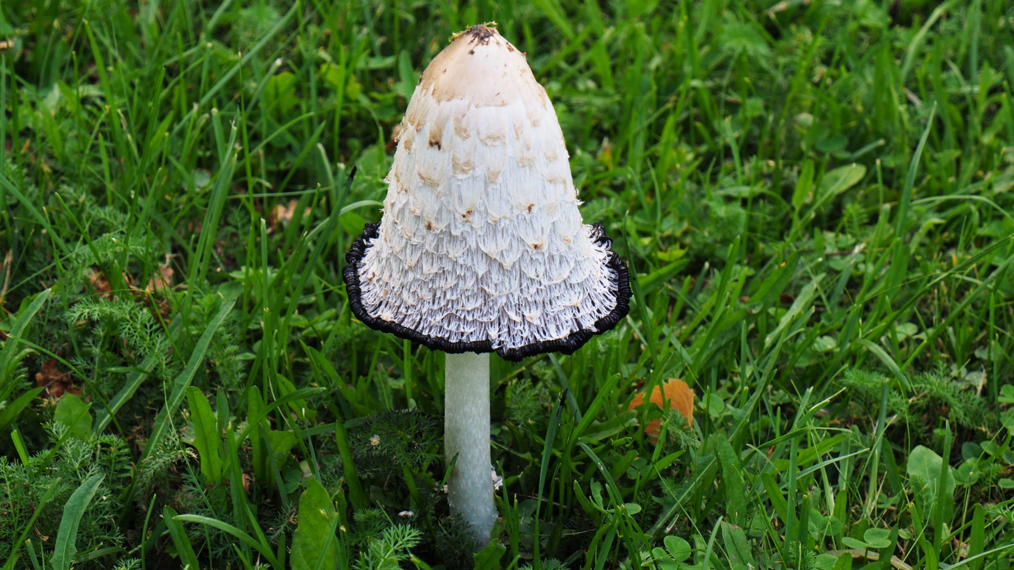 Valokuvaaja: Arja Valtonen Valokuvaaja: Arja Valtonen