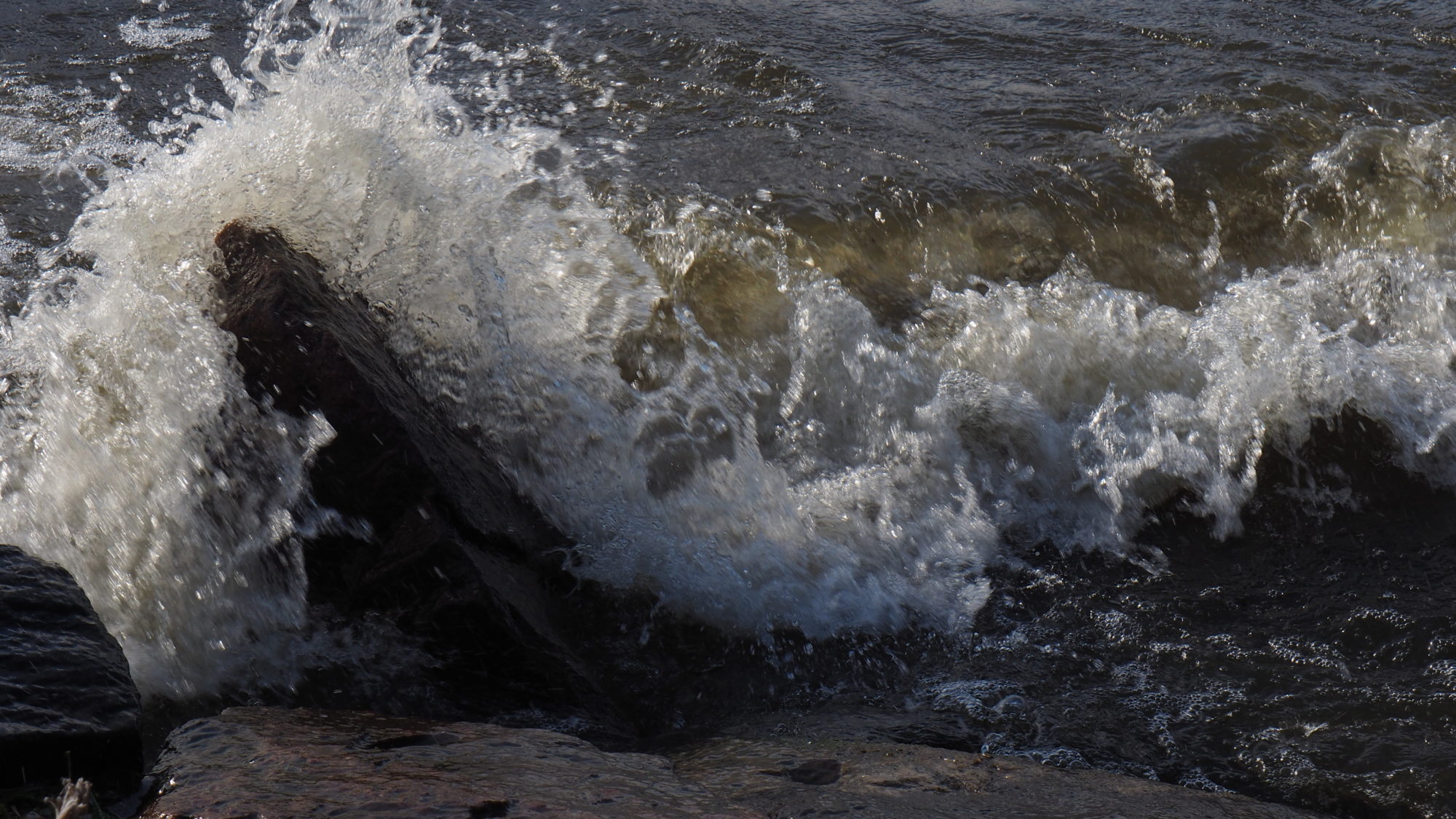 Valokuvaaja: Arja Valtonen