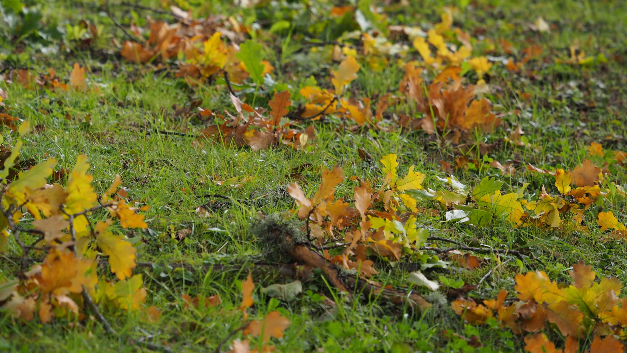 Valokuvaaja: Arja Valtonen