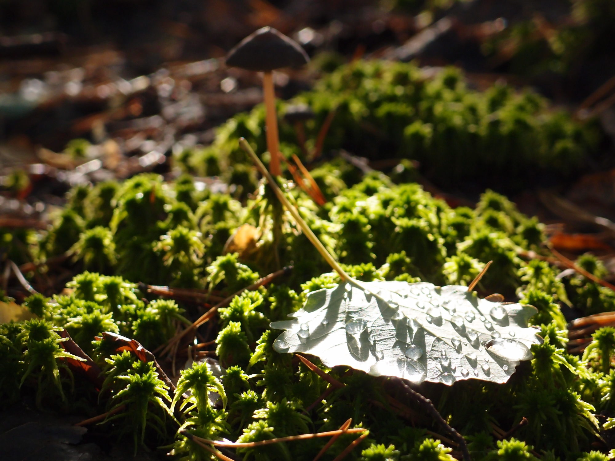 Valokuvaaja: Risto Kangassalo