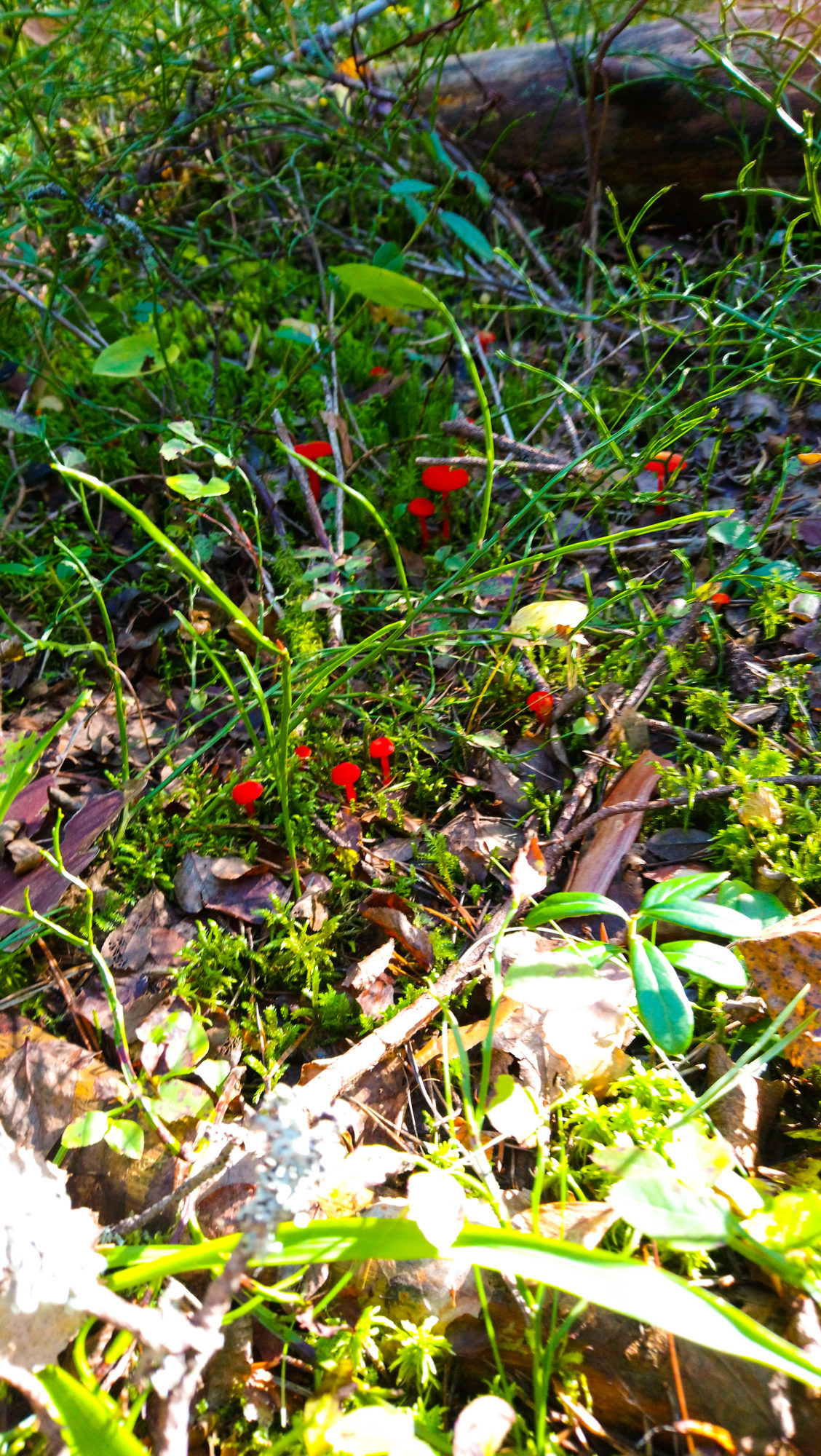 Valokuvaaja: Mari Haverinen