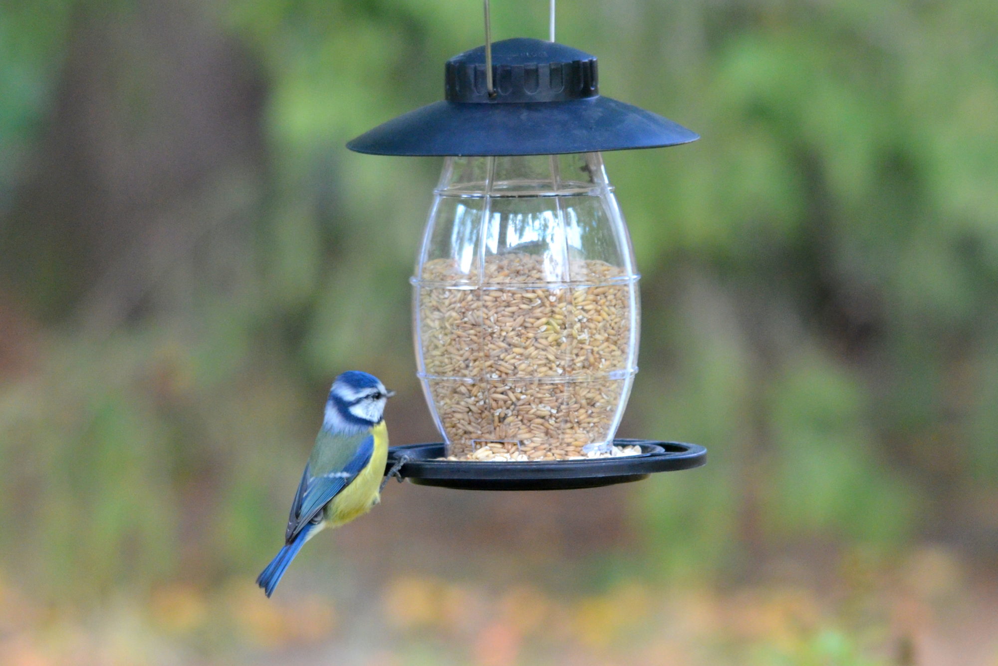 Valokuvaaja: Kaarlo Asikainen Valokuvaaja: Kaarlo Asikainen