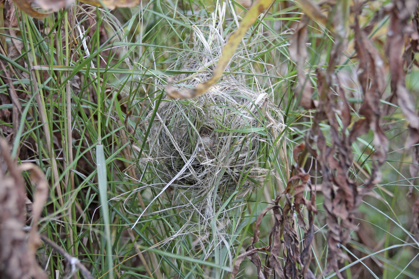 Valokuvaaja: Esko Manninen
