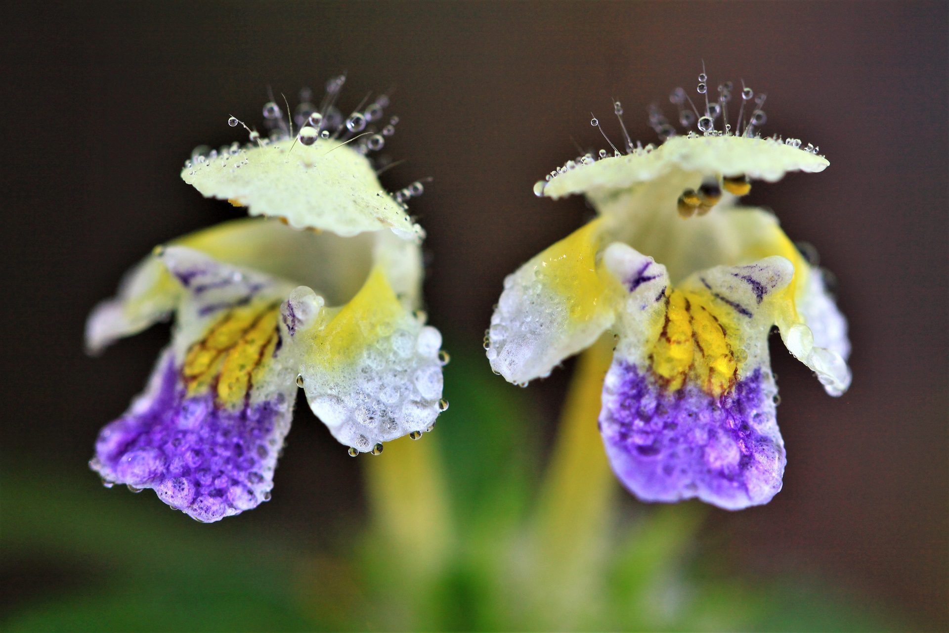 Valokuvaaja: Berndt Hannelius