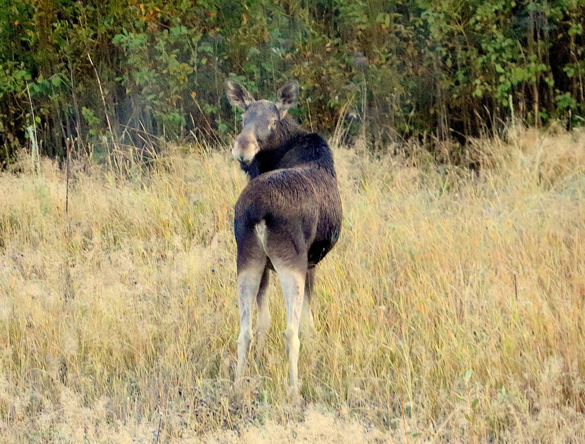 Valokuvaaja: sirpa Jyske Valokuvaaja: sirpa Jyske