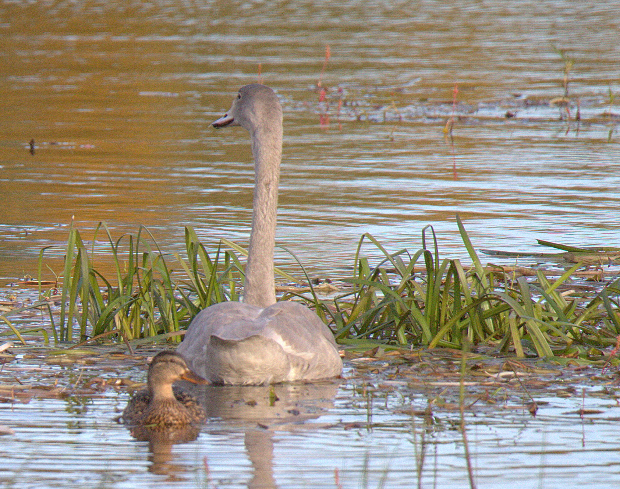 Valokuvaaja: sirpa Jyske