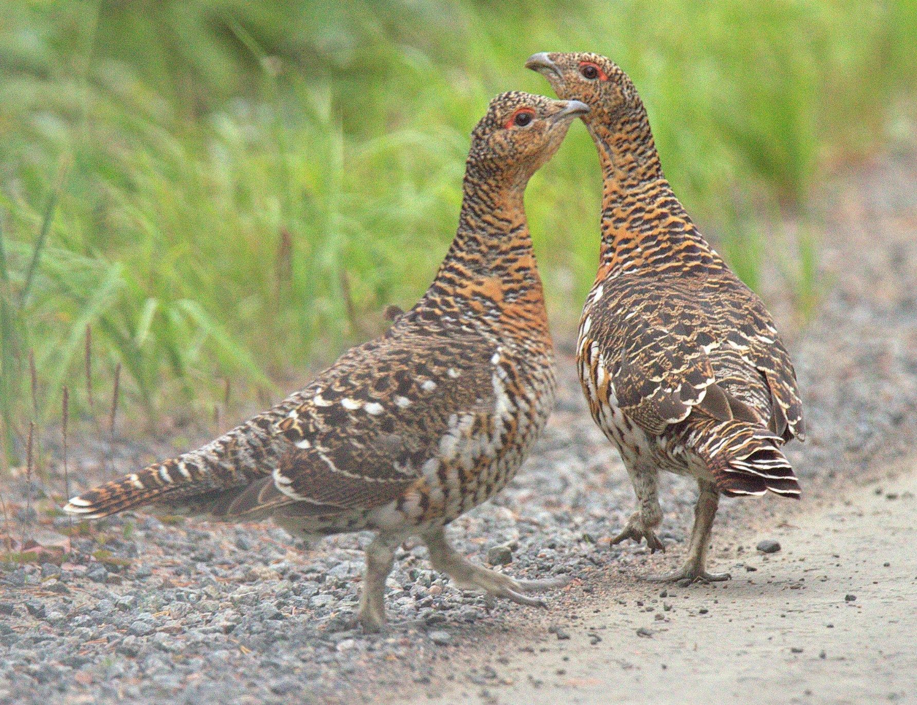 Valokuvaaja: sirpa Jyske