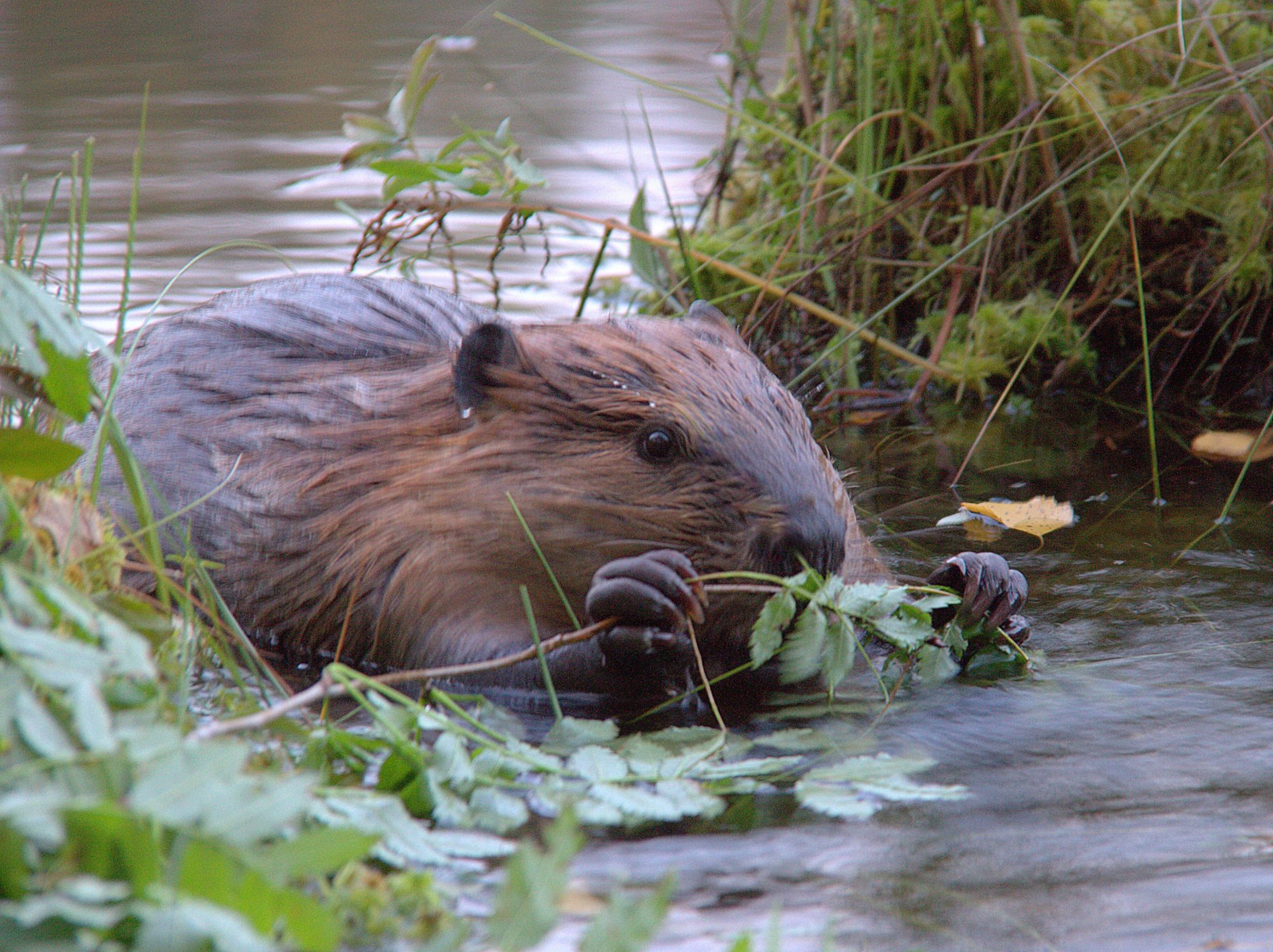 Valokuvaaja: sirpa Jyske