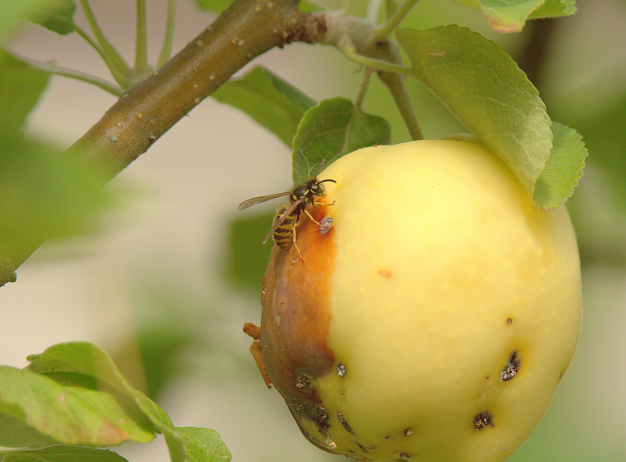 Valokuvaaja: sirpa Jyske