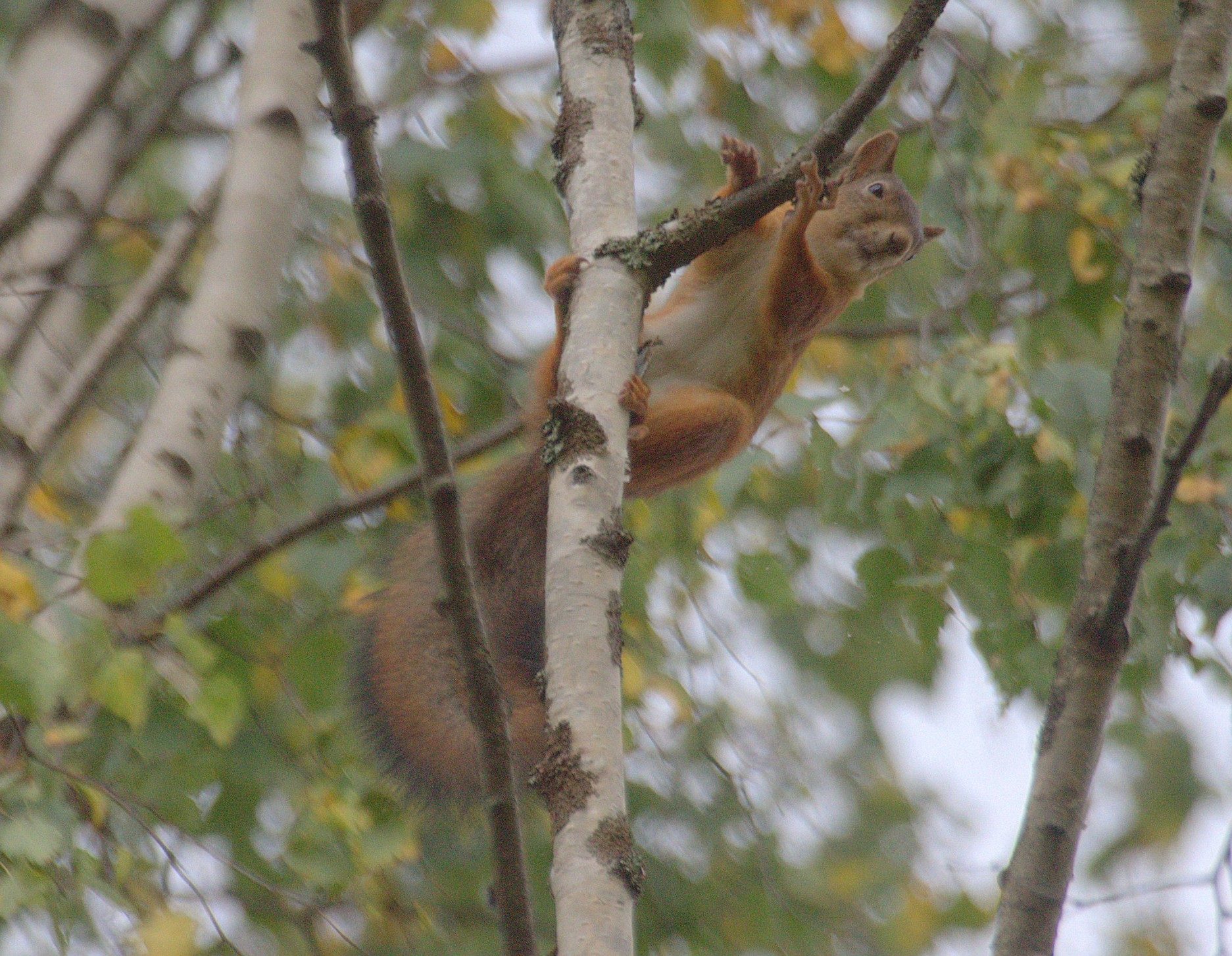 Valokuvaaja: sirpa Jyske