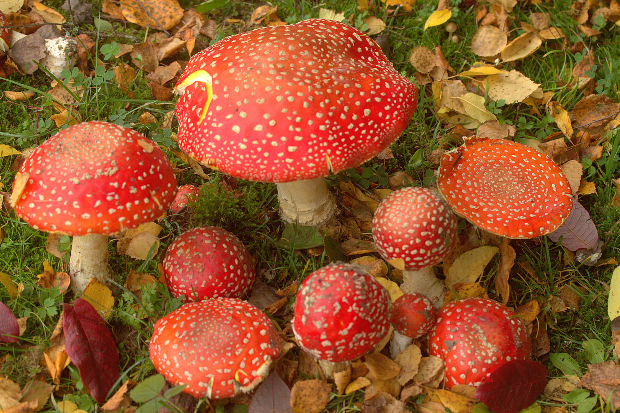 Valokuvaaja: sirpa Jyske