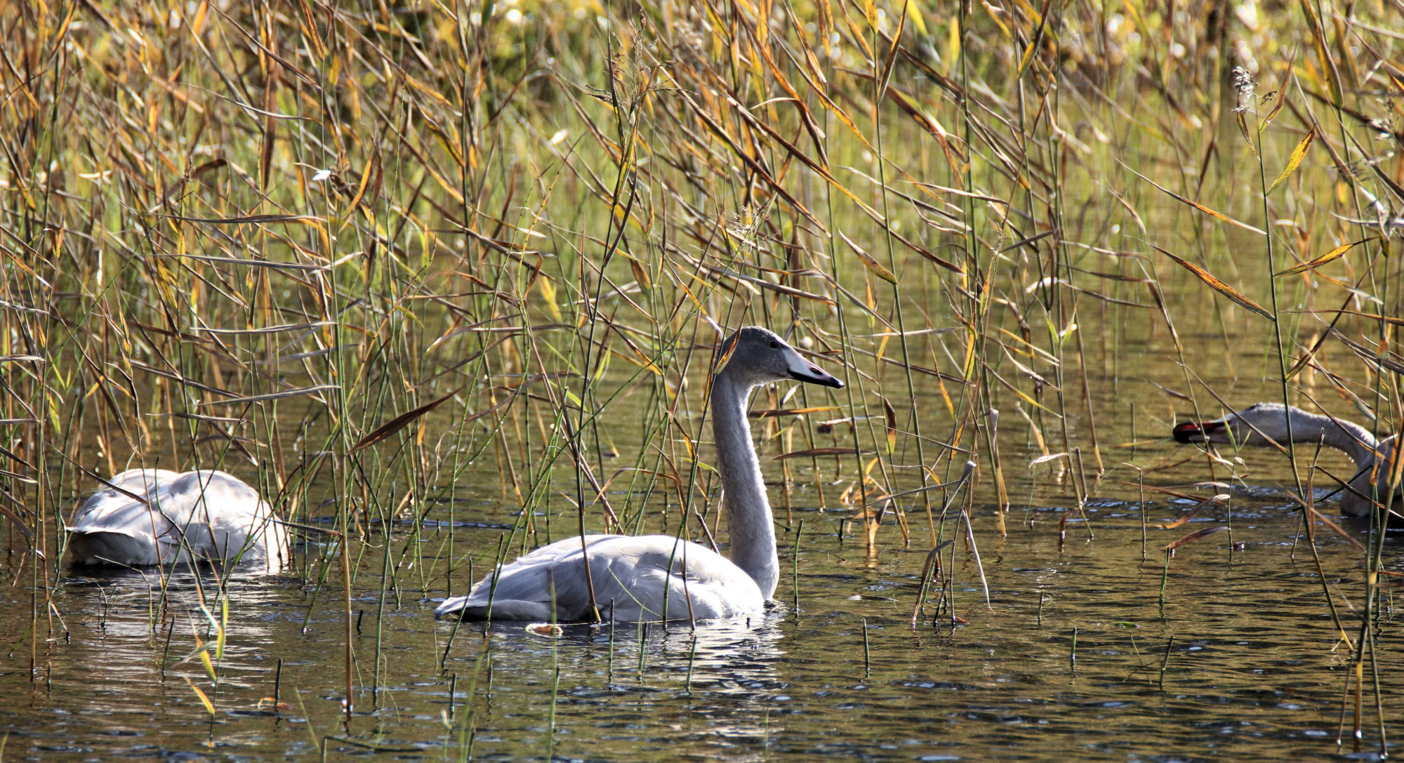 Valokuvaaja: Ahti Keränen