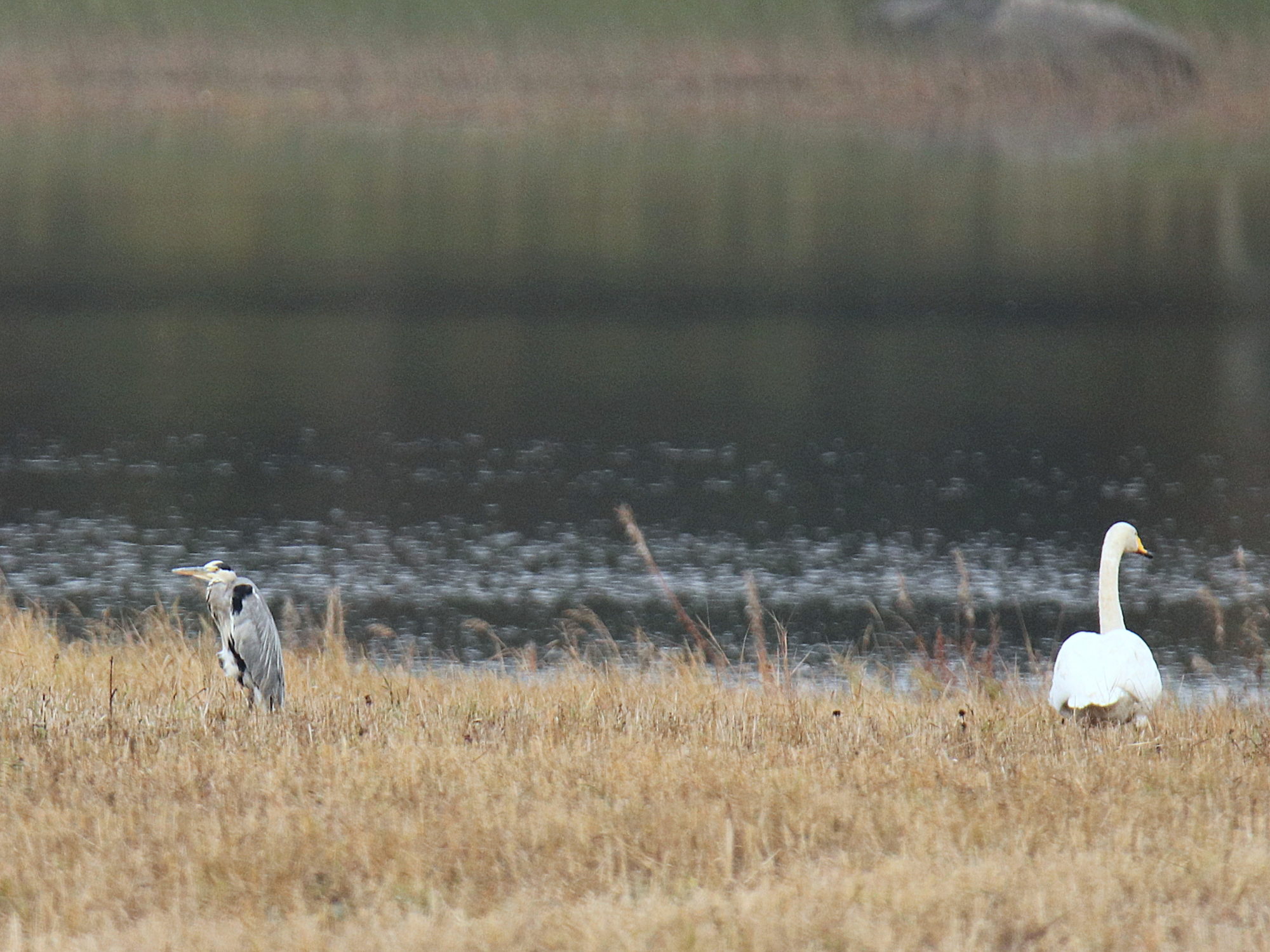 Valokuvaaja: sirpa Jyske