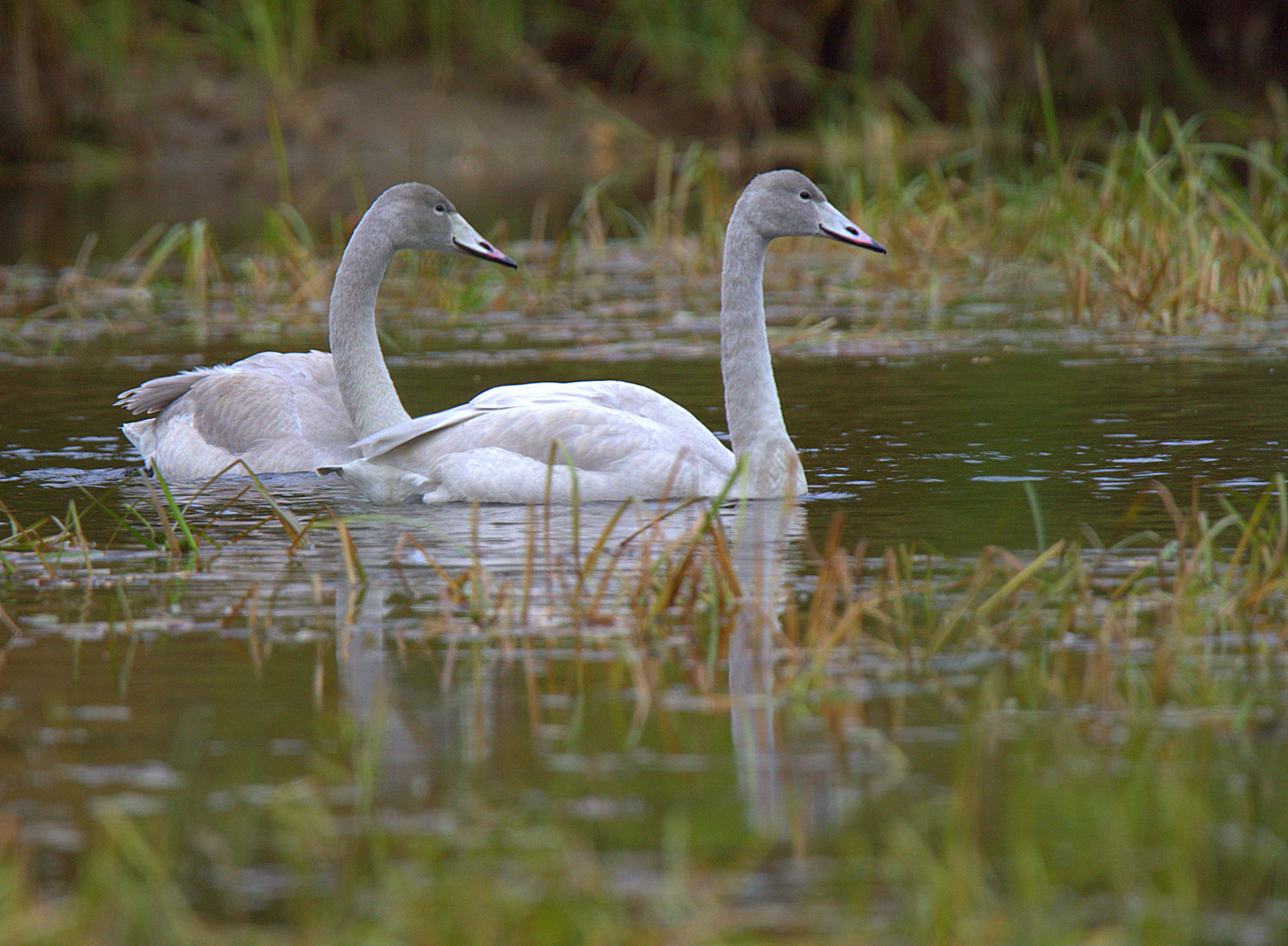 Valokuvaaja: sirpa Jyske