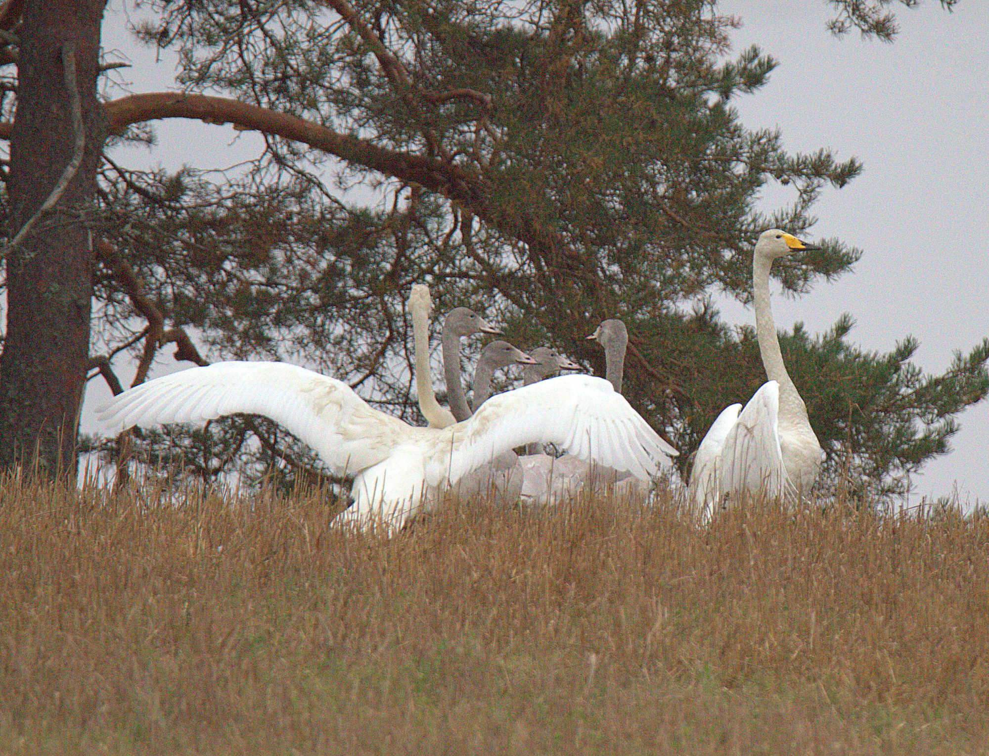Valokuvaaja: sirpa Jyske
