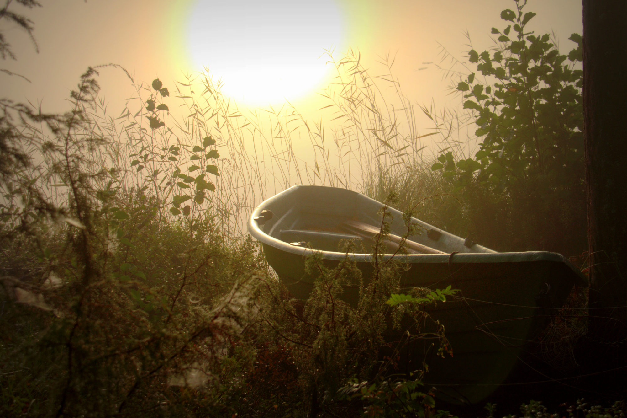 Valokuvaaja: sirpa Jyske