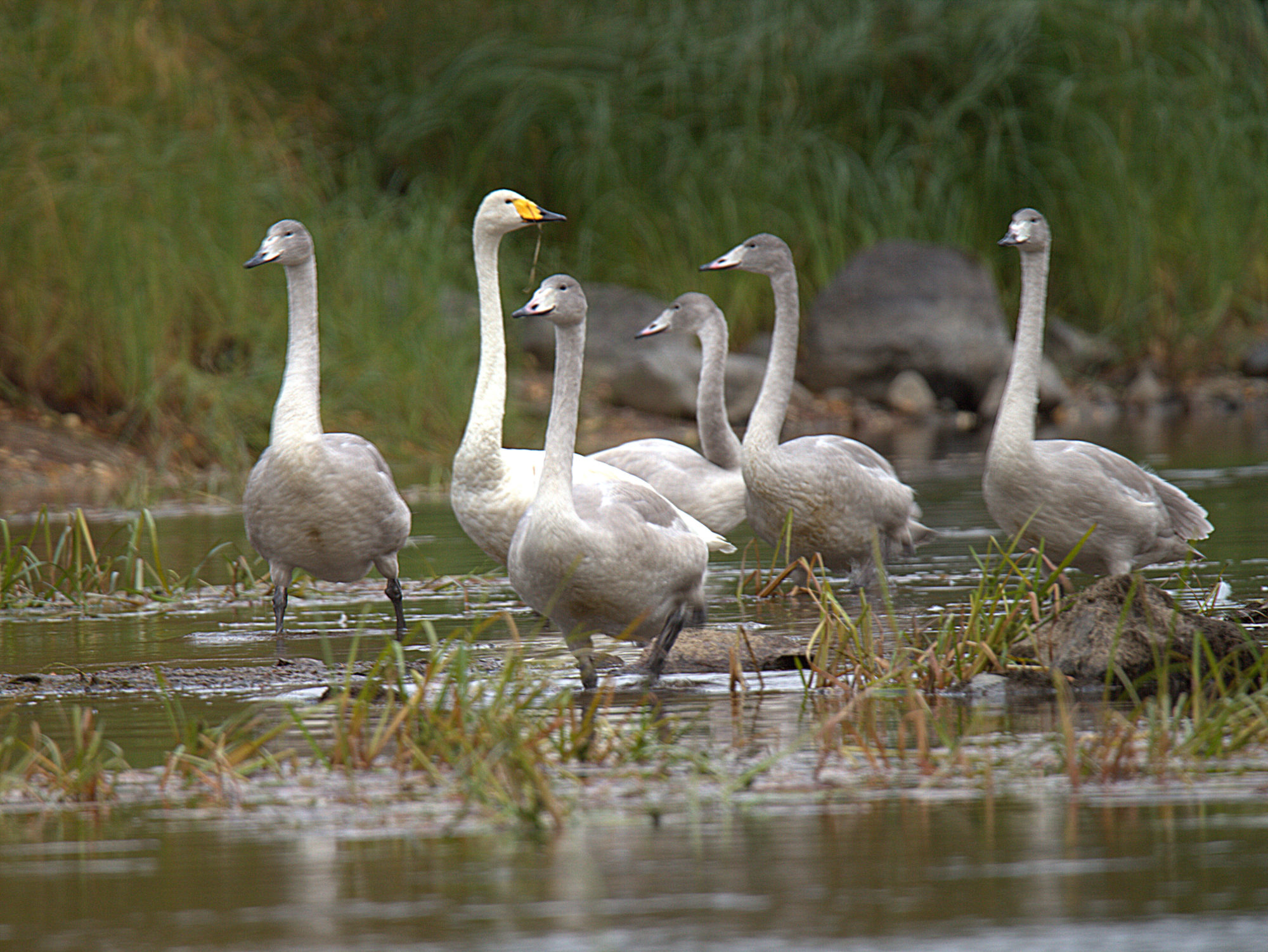 Valokuvaaja: sirpa Jyske
