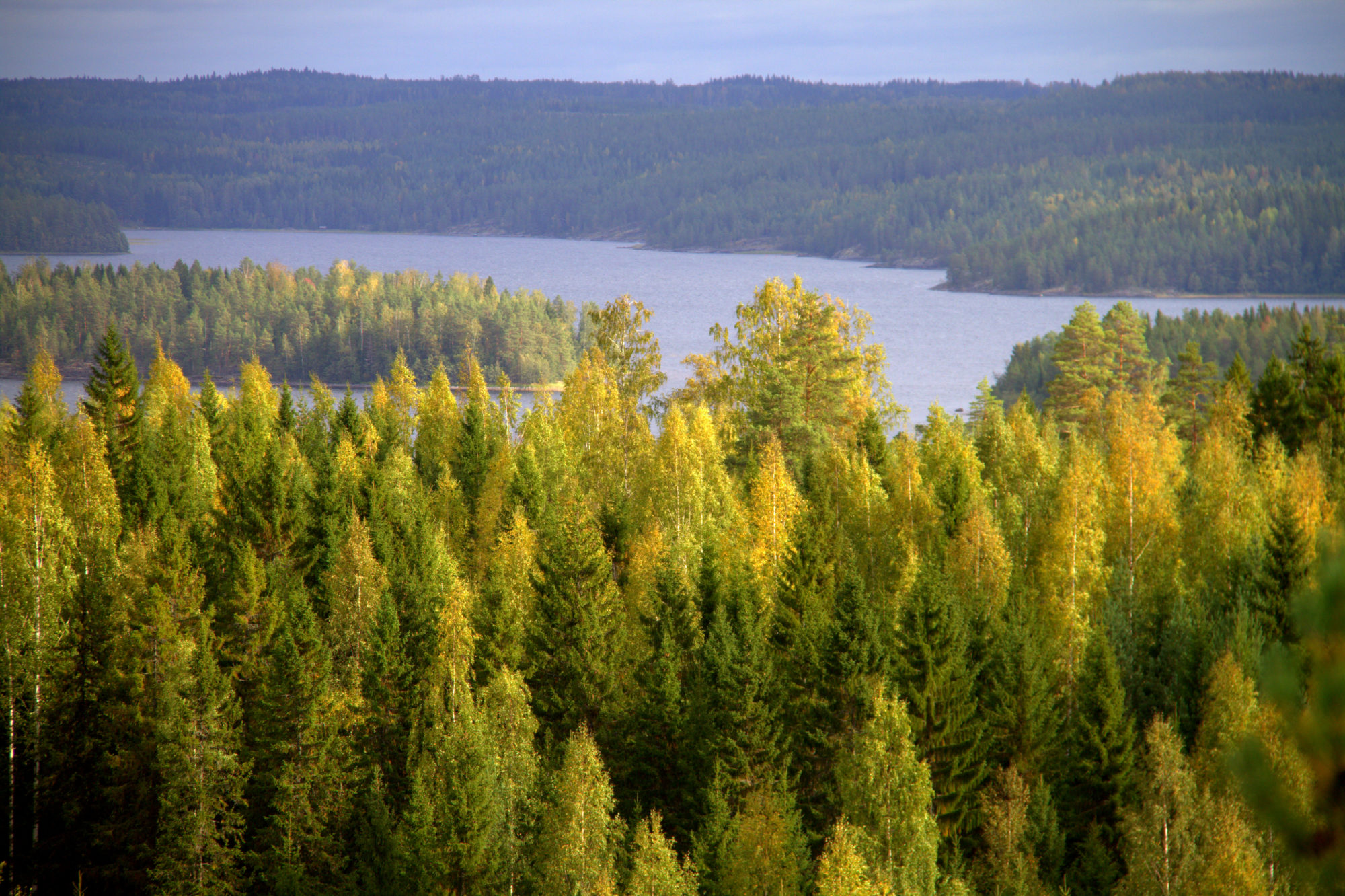 Valokuvaaja: sirpa Jyske