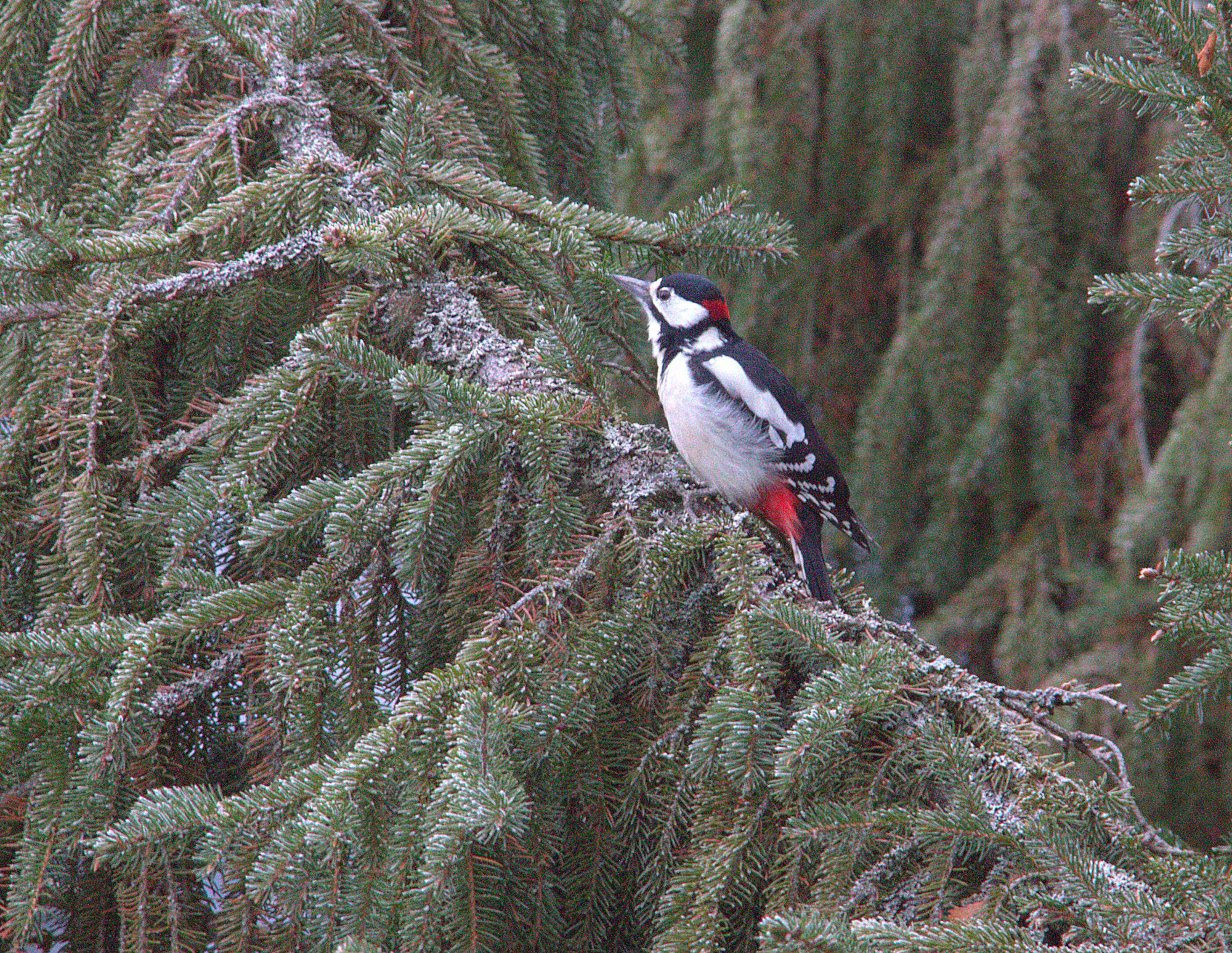 Valokuvaaja: sirpa Jyske