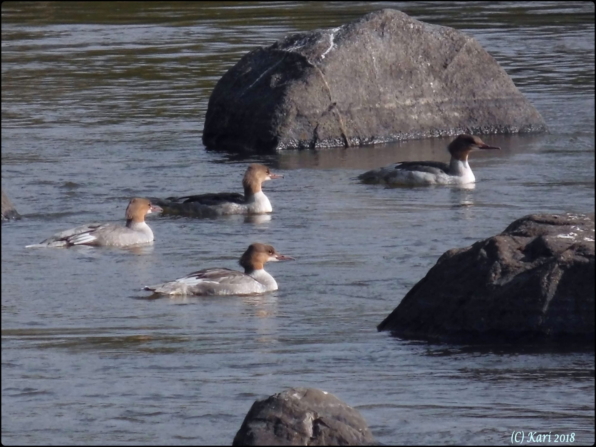 Valokuvaaja: Kari Saarinen