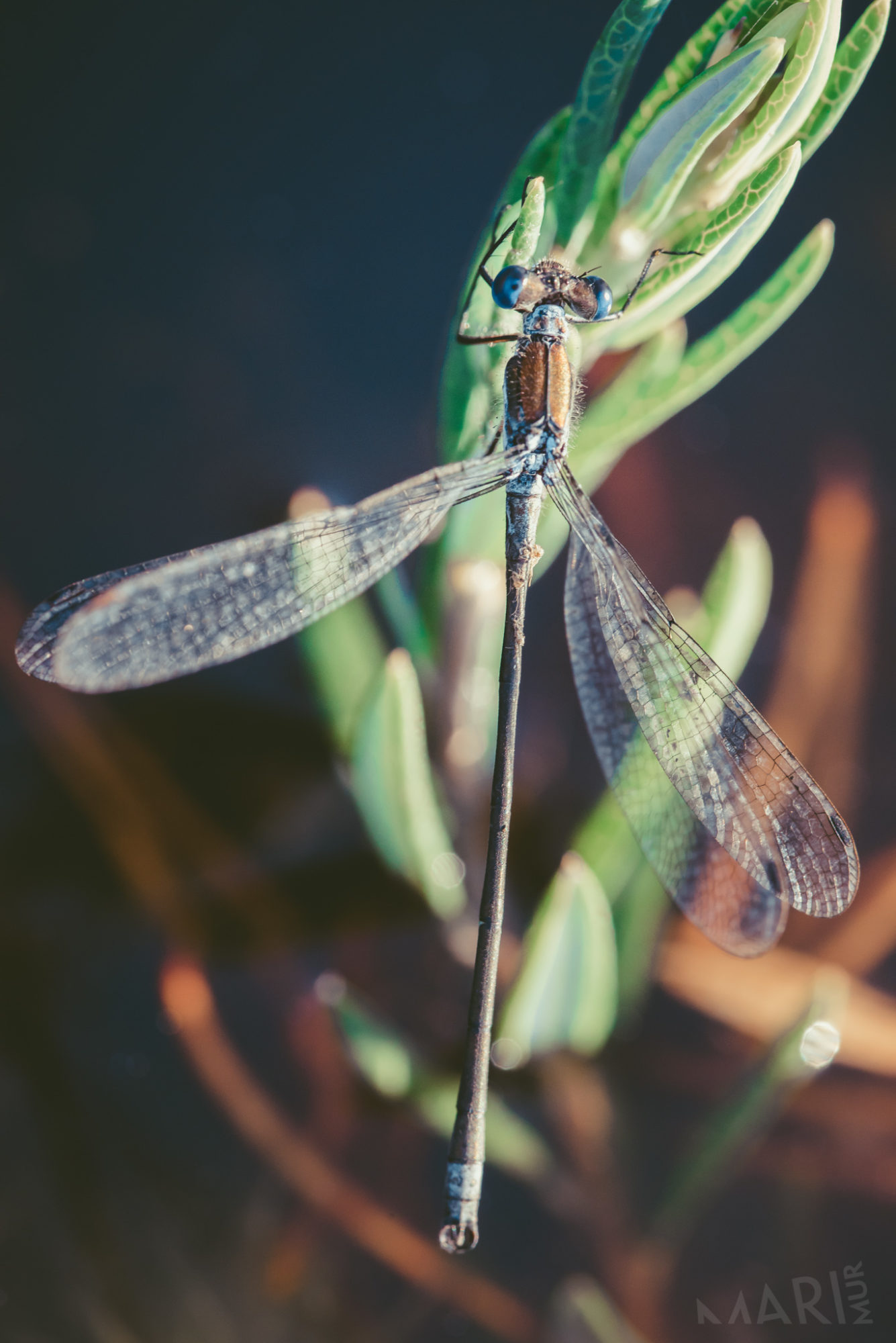 Valokuvaaja: Mari Mur Valokuvaaja: Mari Mur