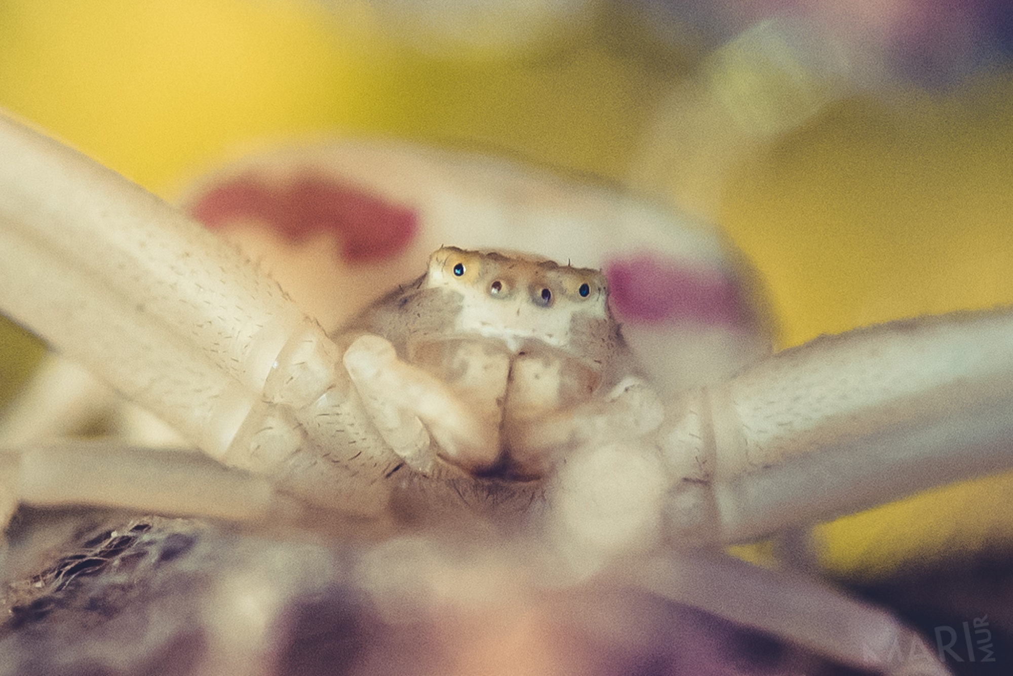 Valokuvaaja: Mari Mur