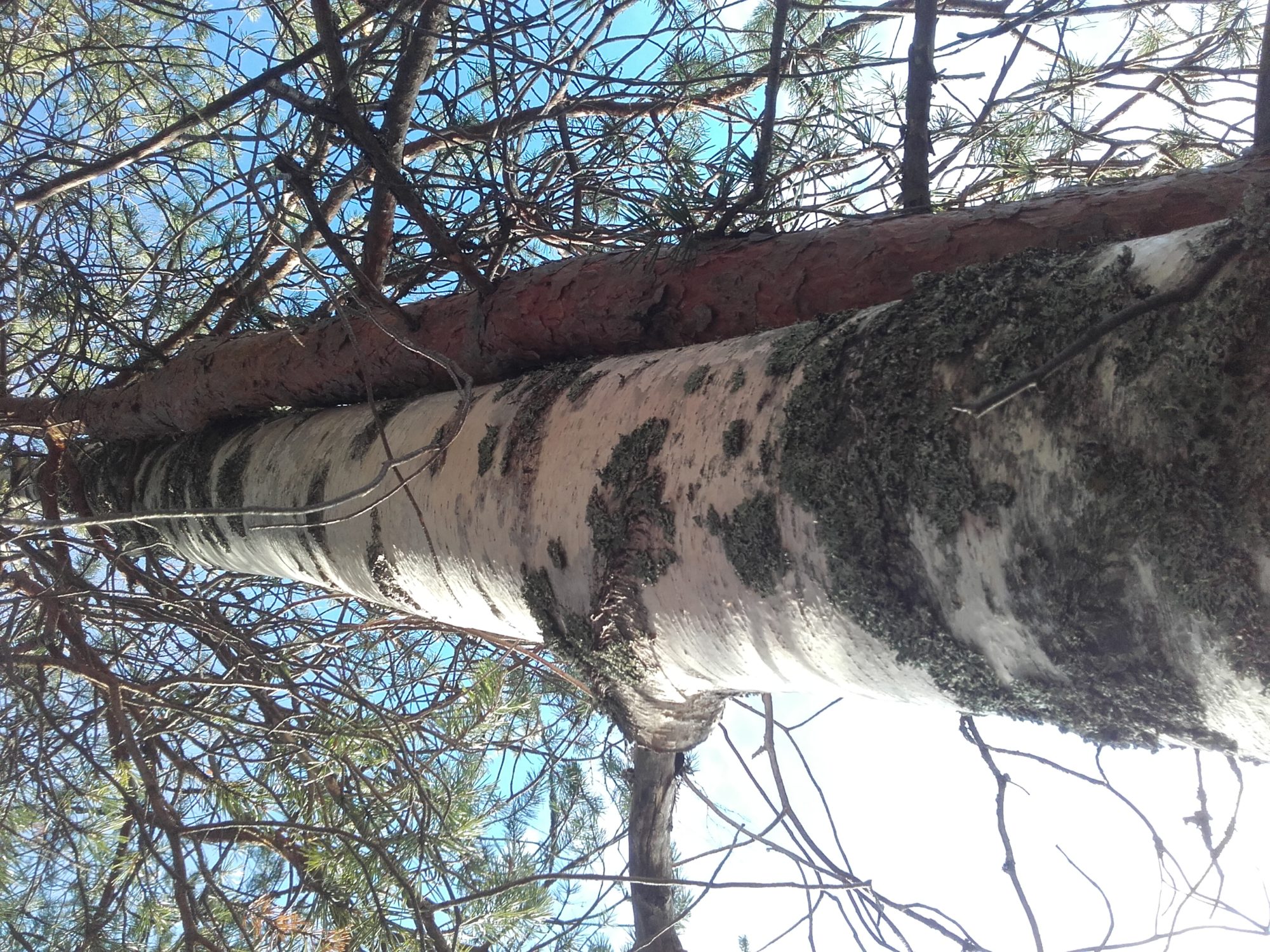 Valokuvaaja: Hannu Rissanen