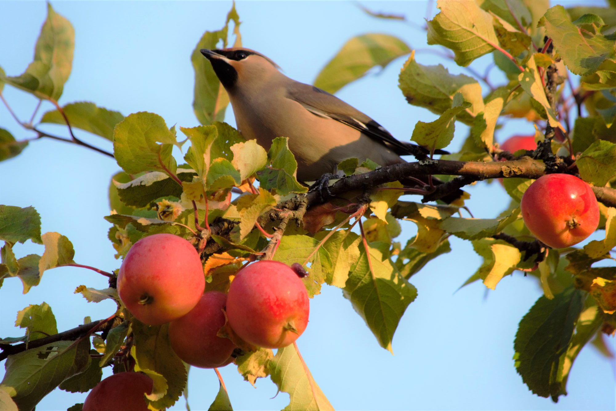 Valokuvaaja: Leena Rissanen