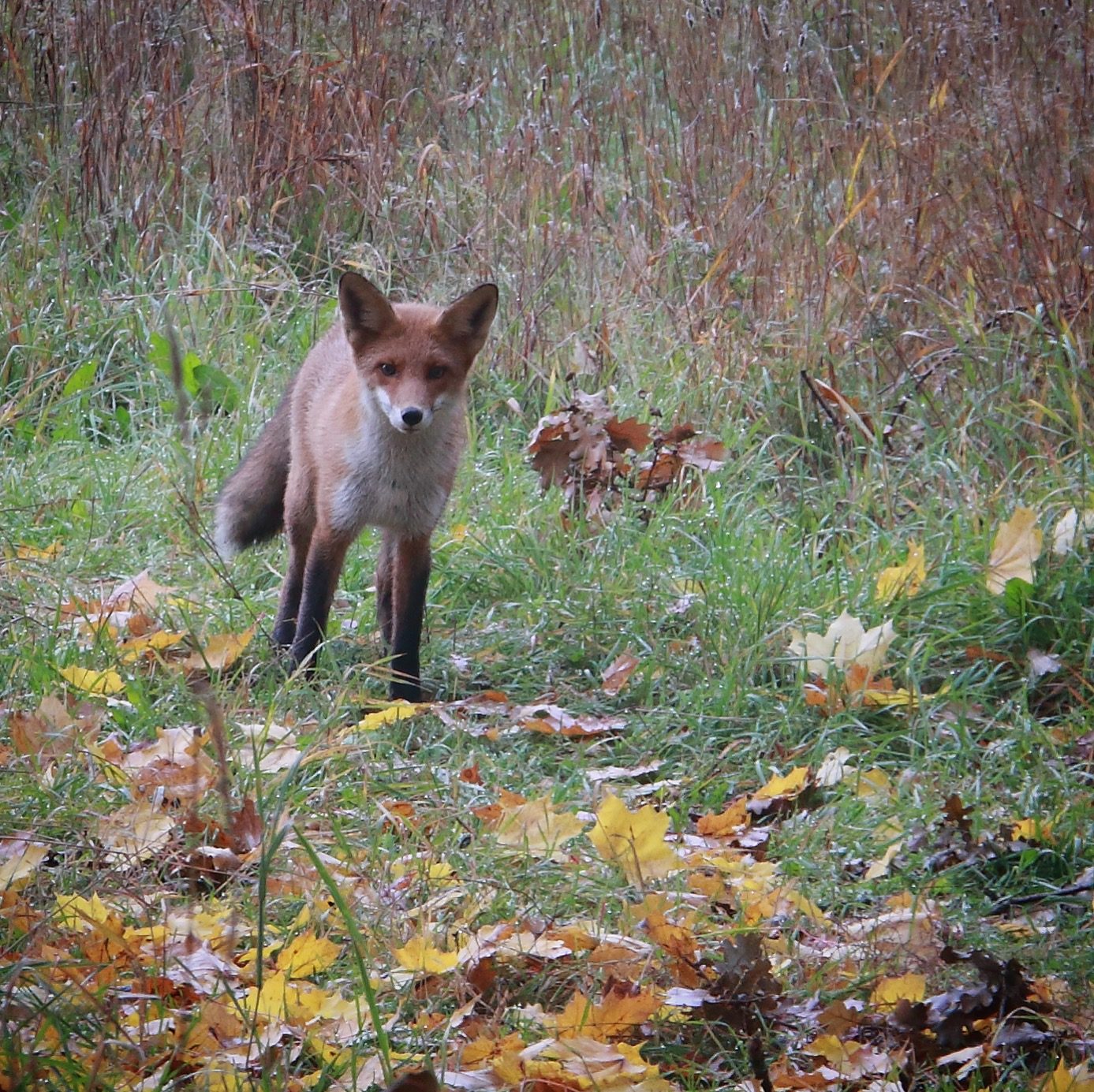 Valokuvaaja: Kirsi Nevalainen