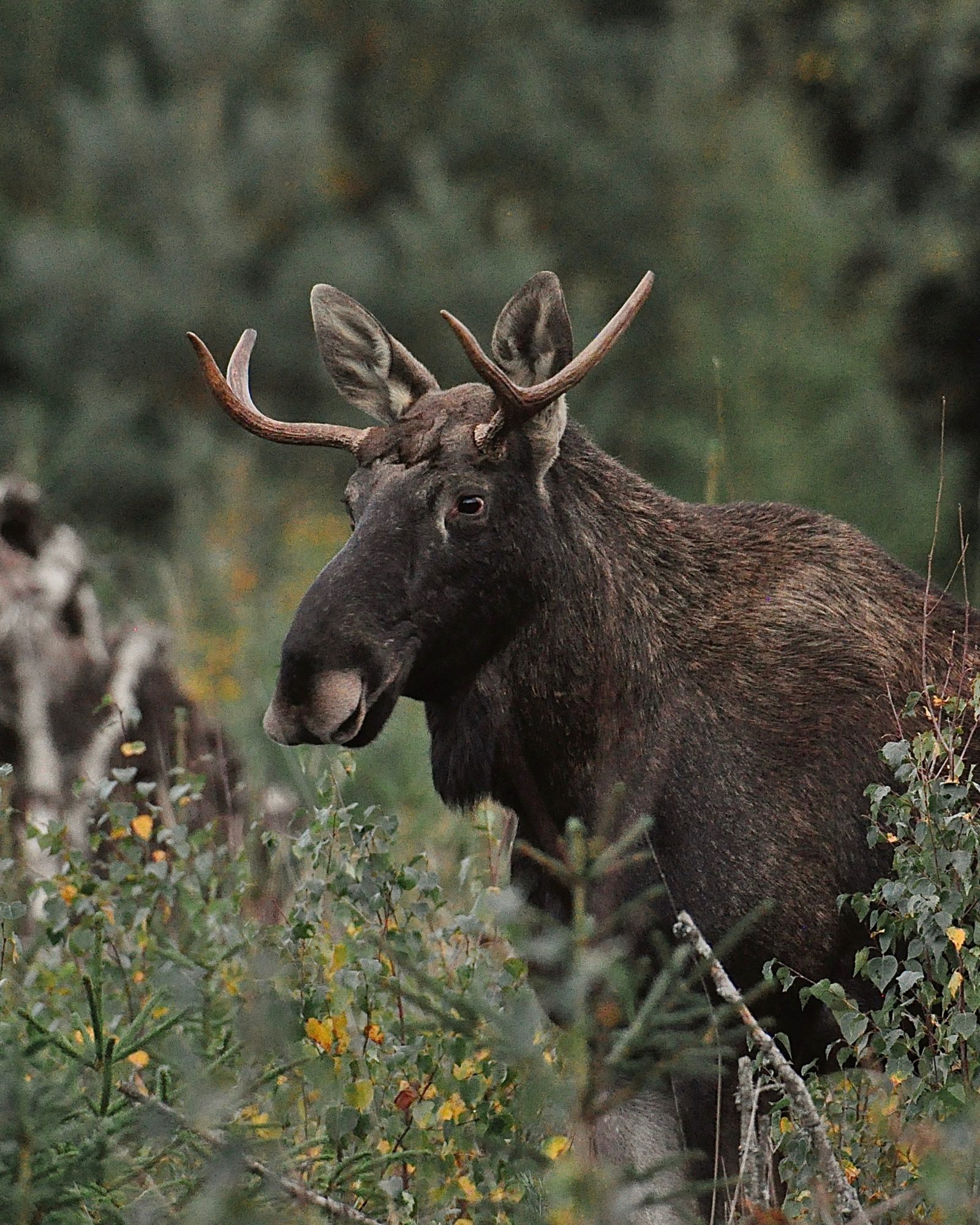 Valokuvaaja: Jenni Merilä Valokuvaaja: Jenni Merilä