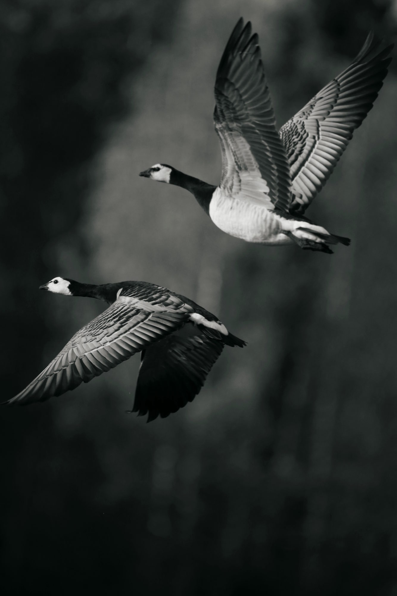 Valokuvaaja: Anne Moilanen