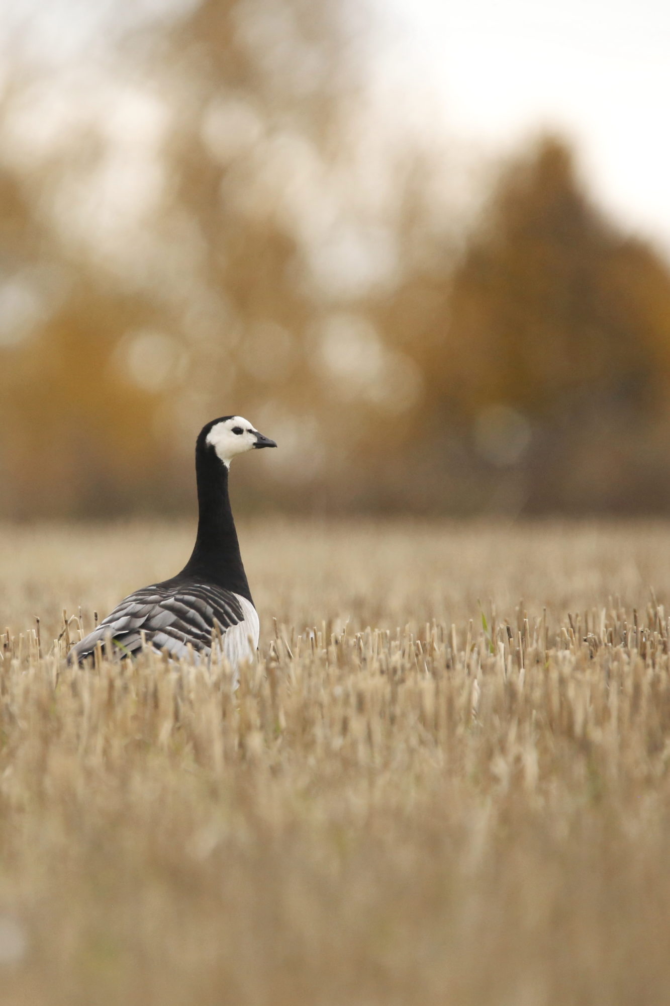 Valokuvaaja: Anne Moilanen