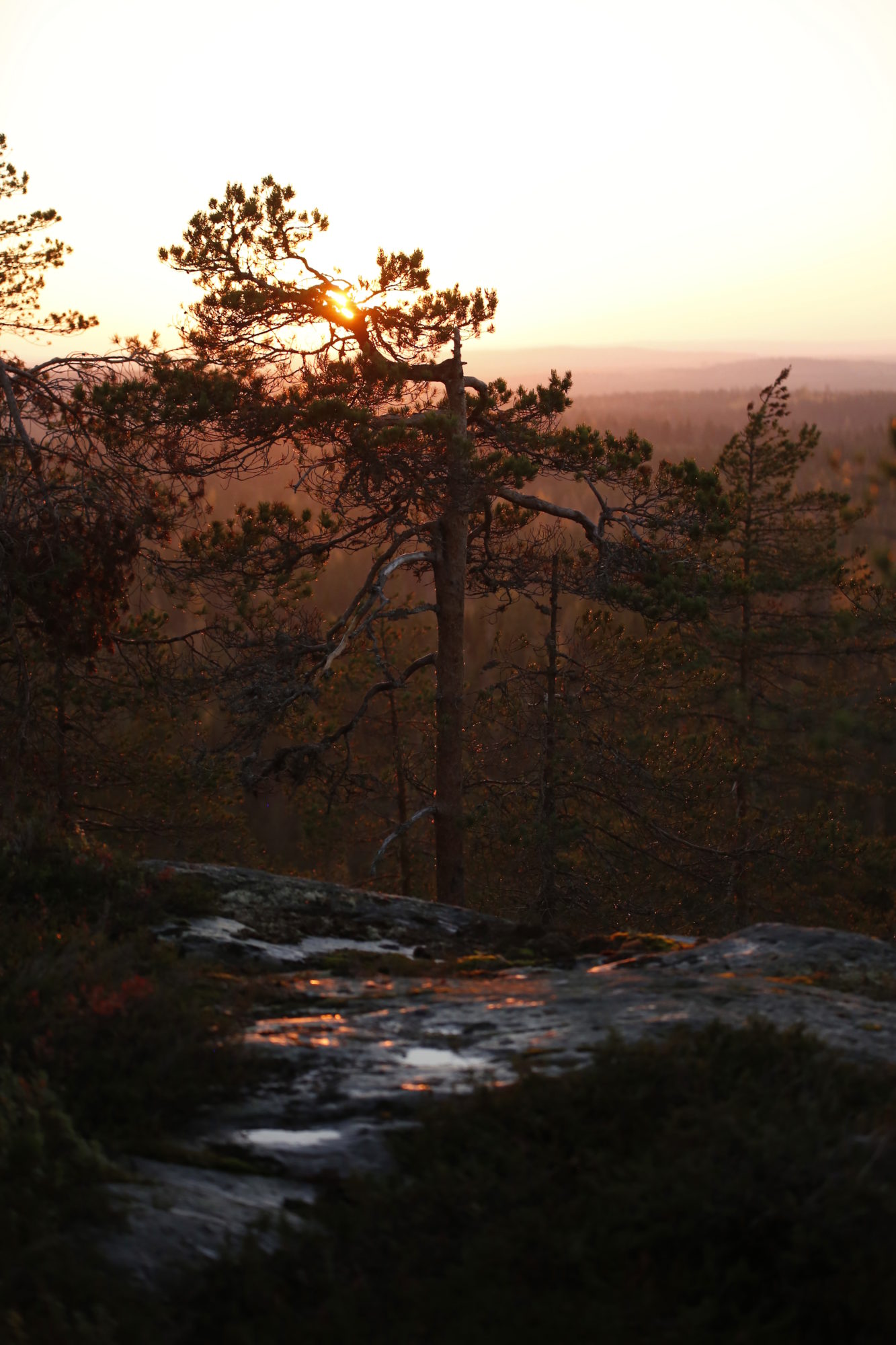 Valokuvaaja: Anne  Moilanen
