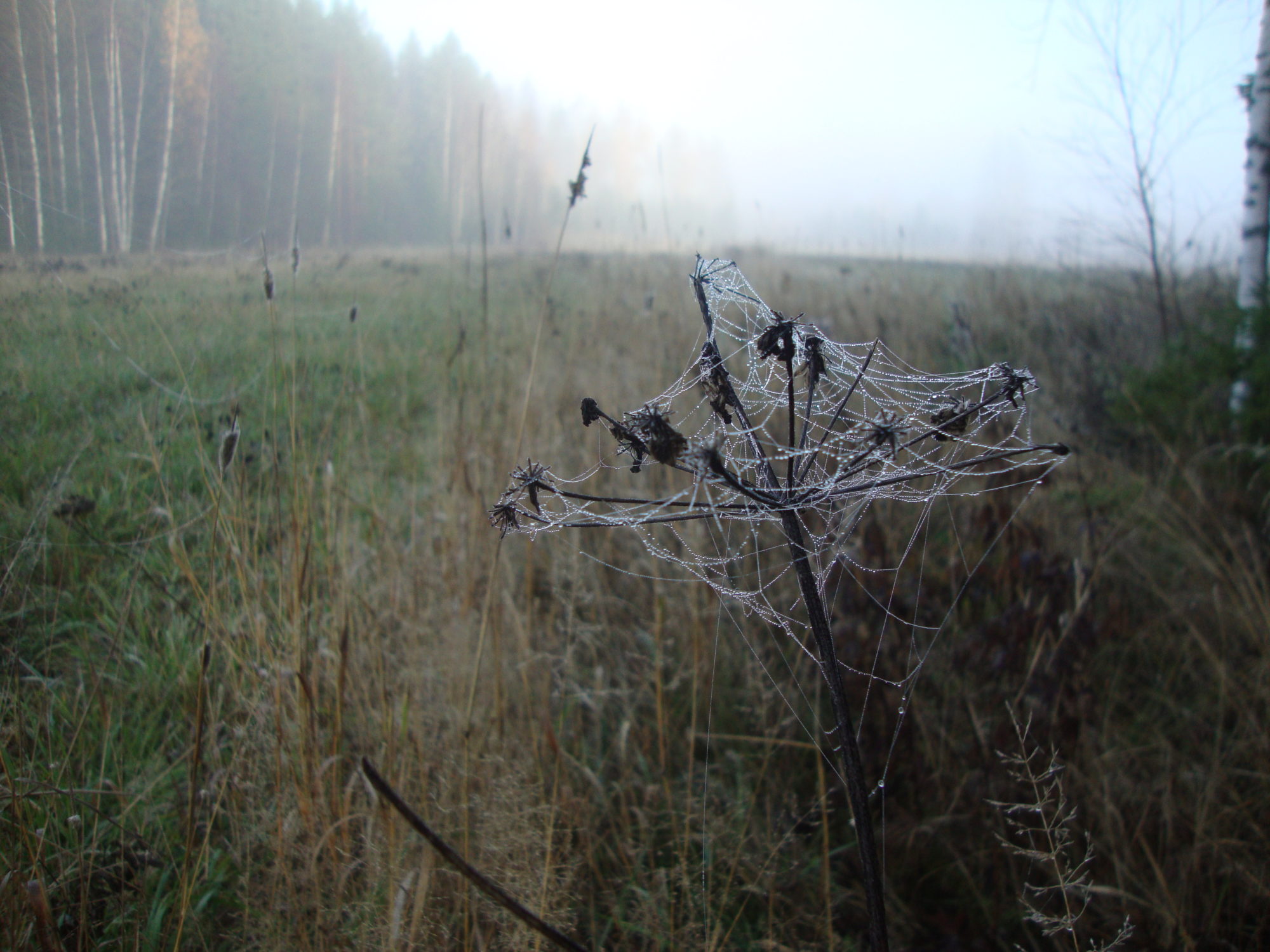Valokuvaaja: Anja Mustamaa