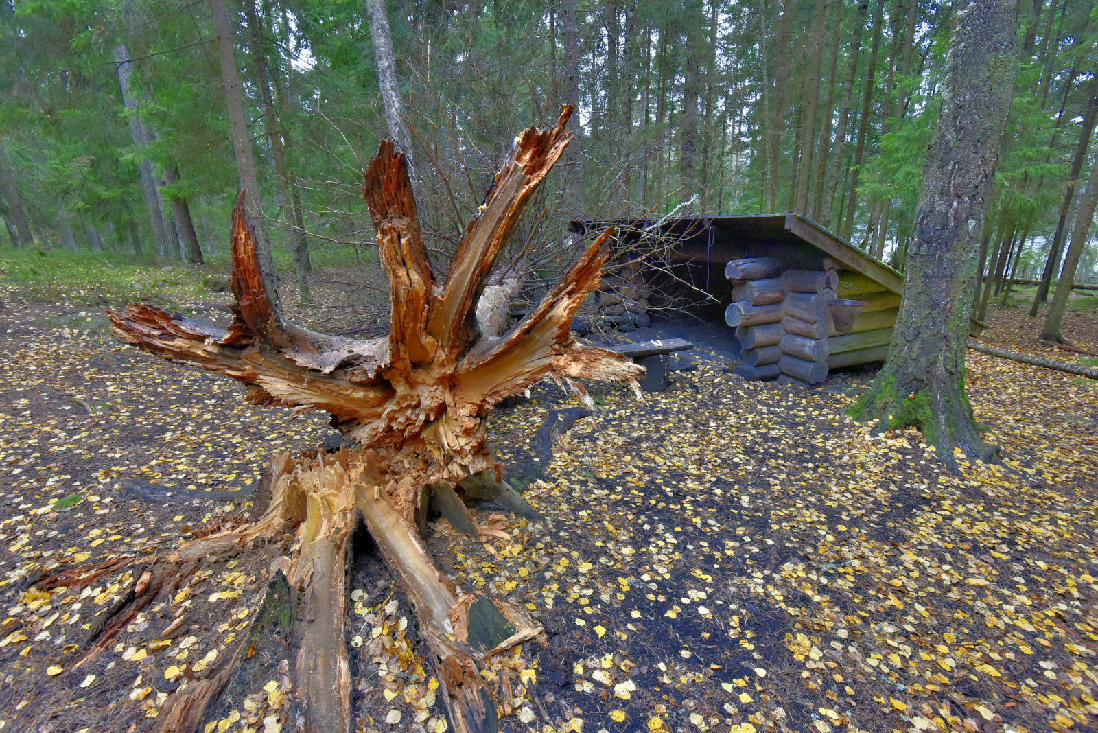 Valokuvaaja: Reijo Juurinen
