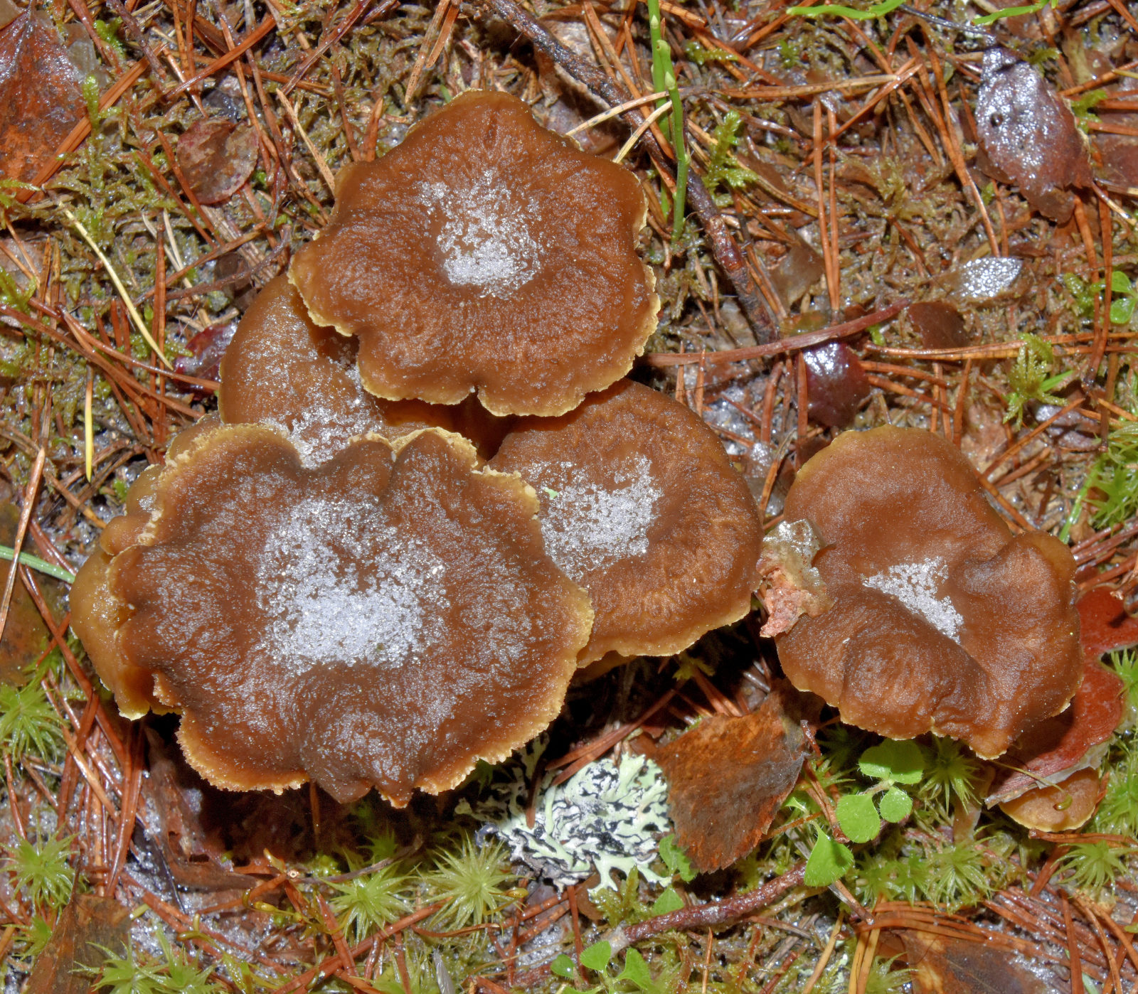 Valokuvaaja: Reijo Juurinen